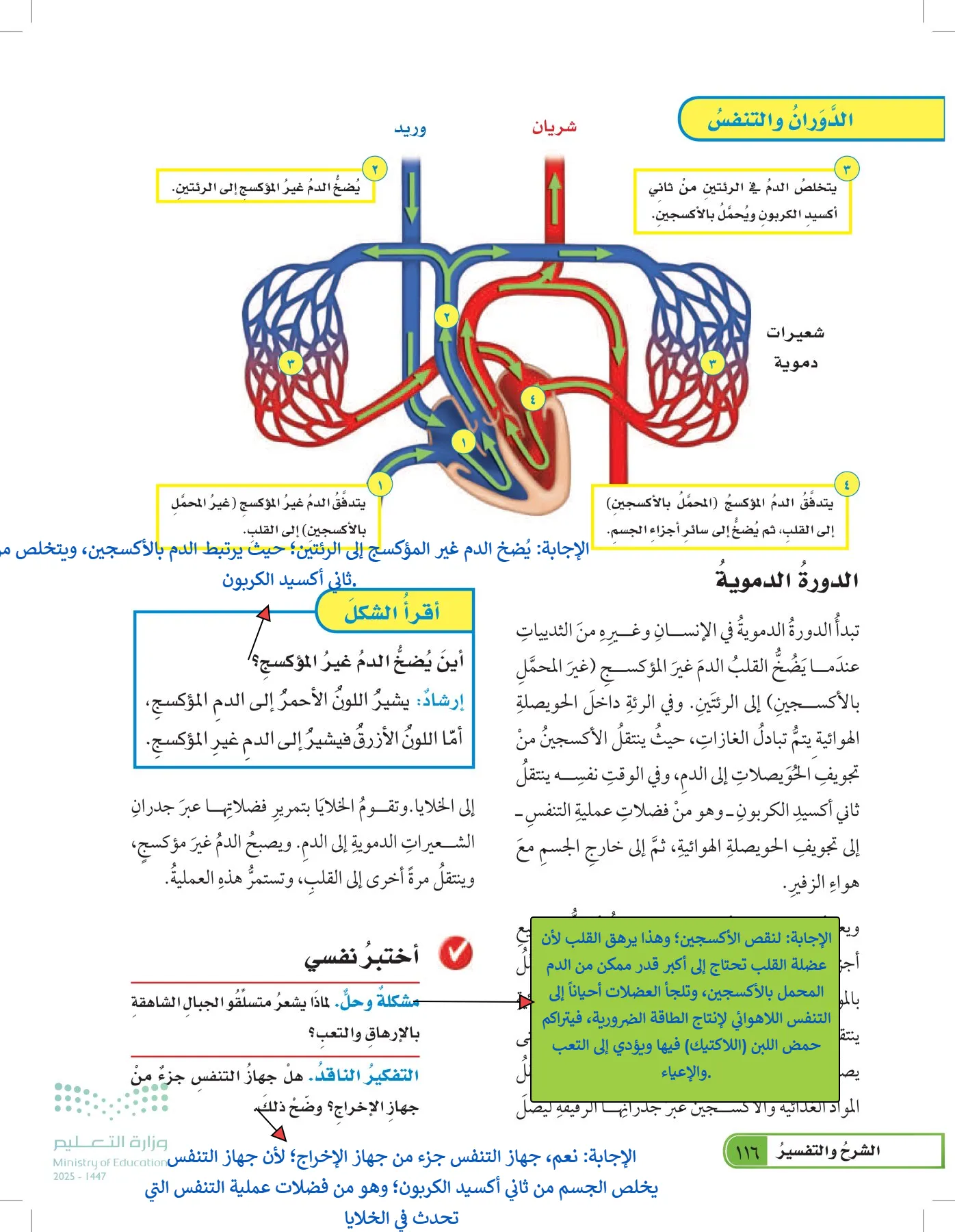 العلوم page-115