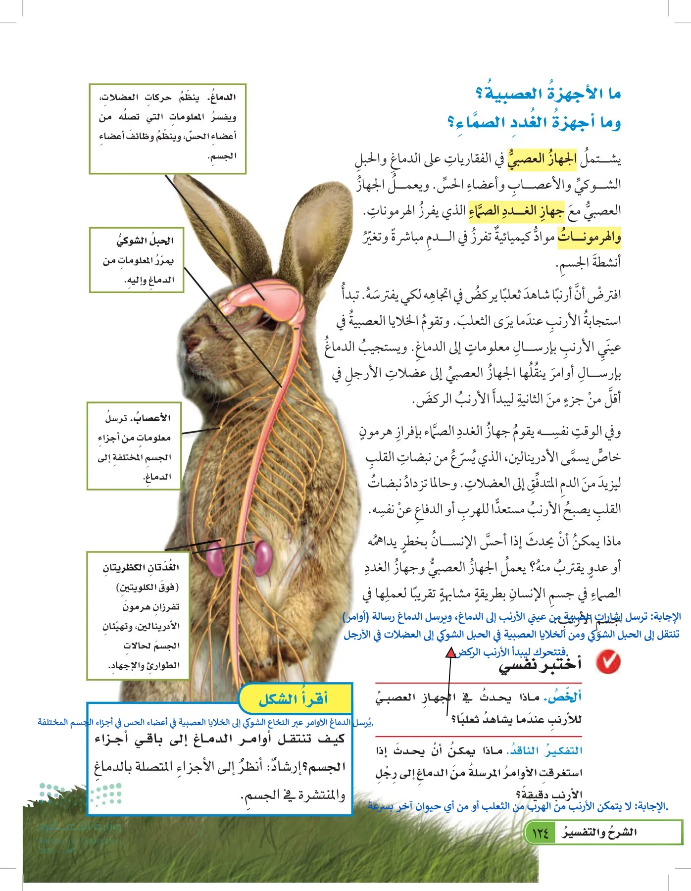 العلوم page-123