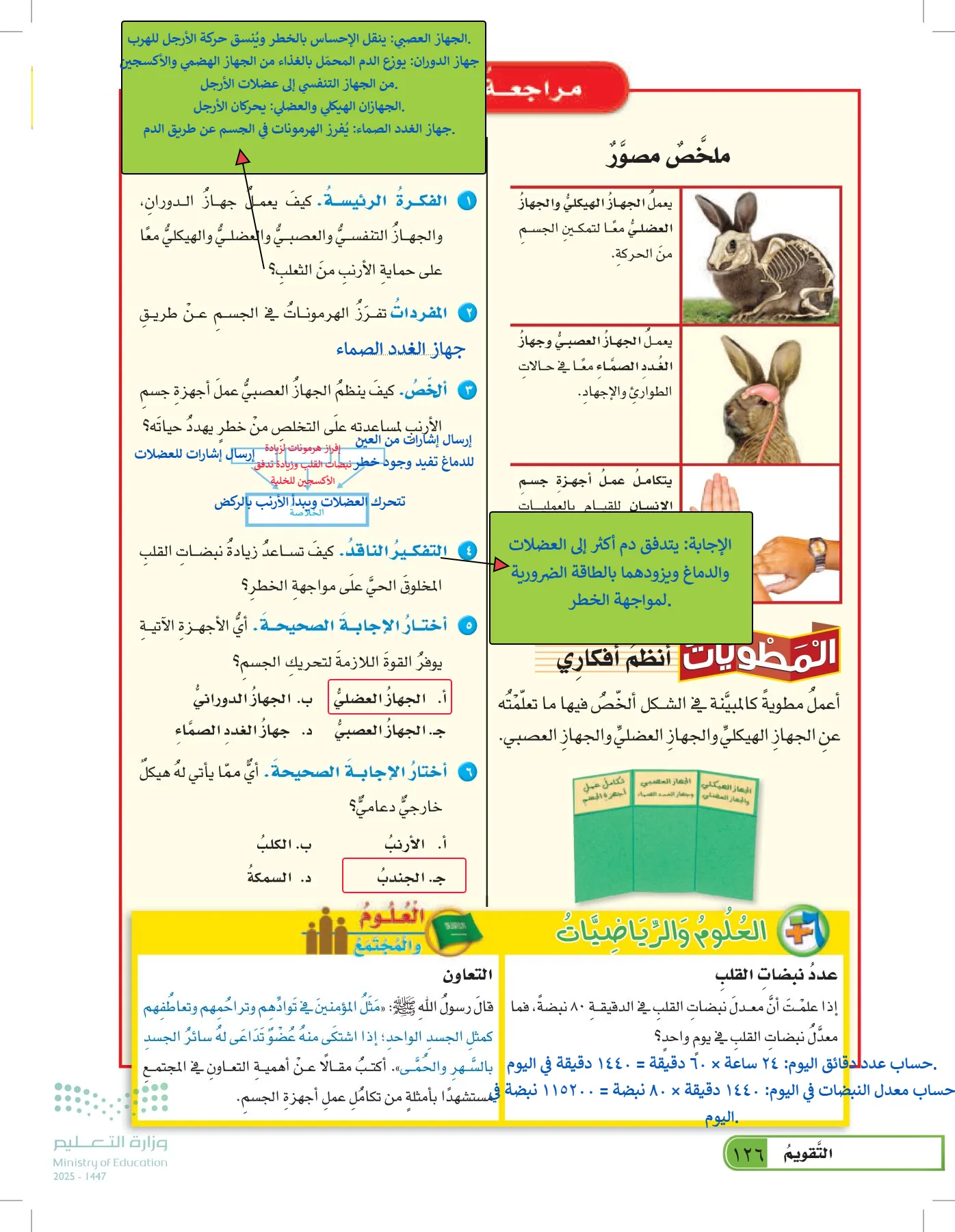 العلوم page-125