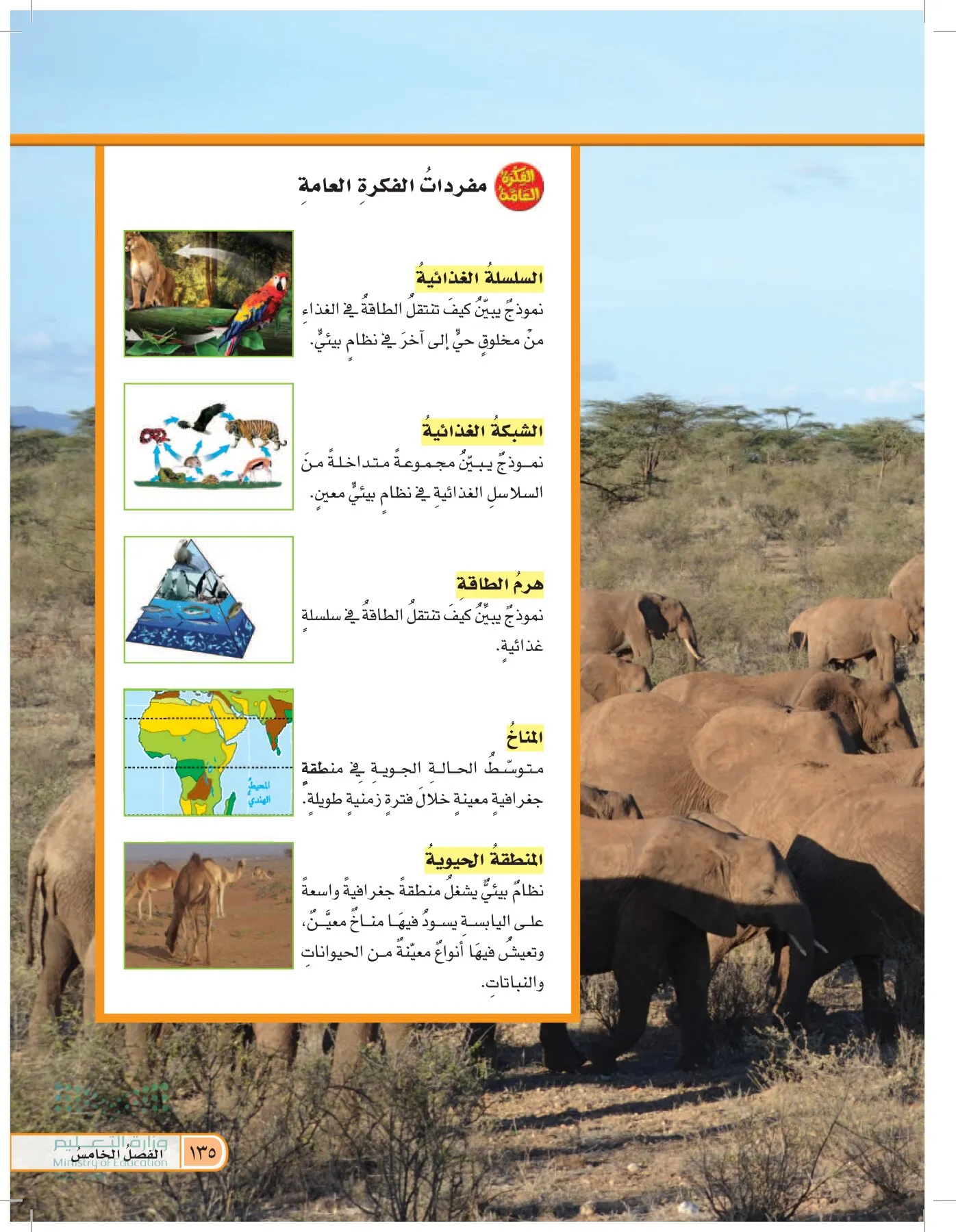 العلوم page-134