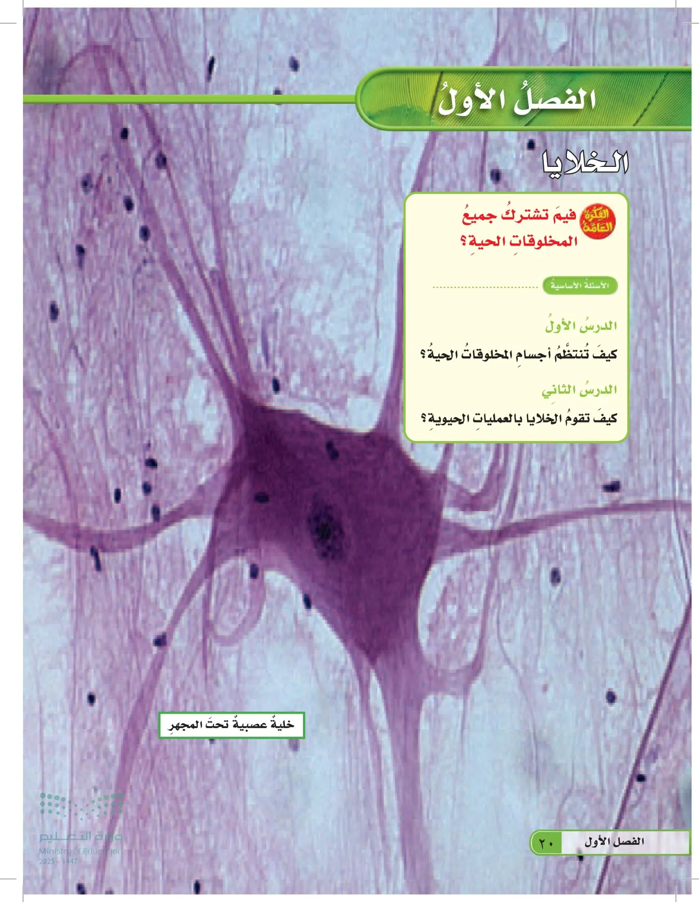 العلوم page-19