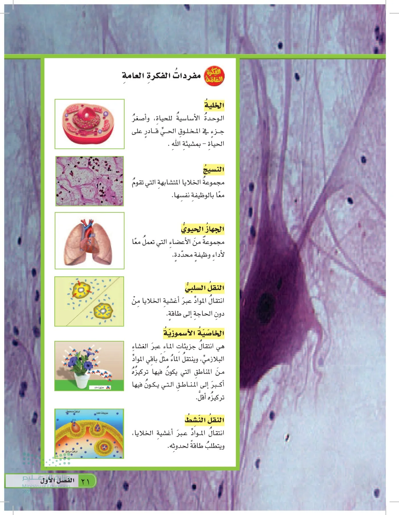 العلوم page-20