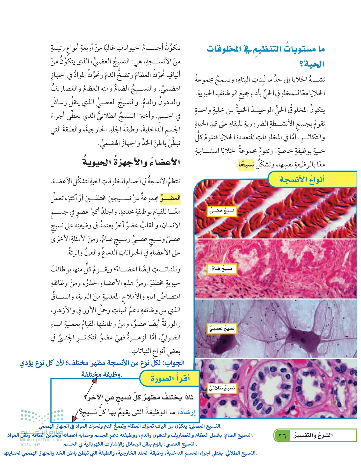 العلوم page-25