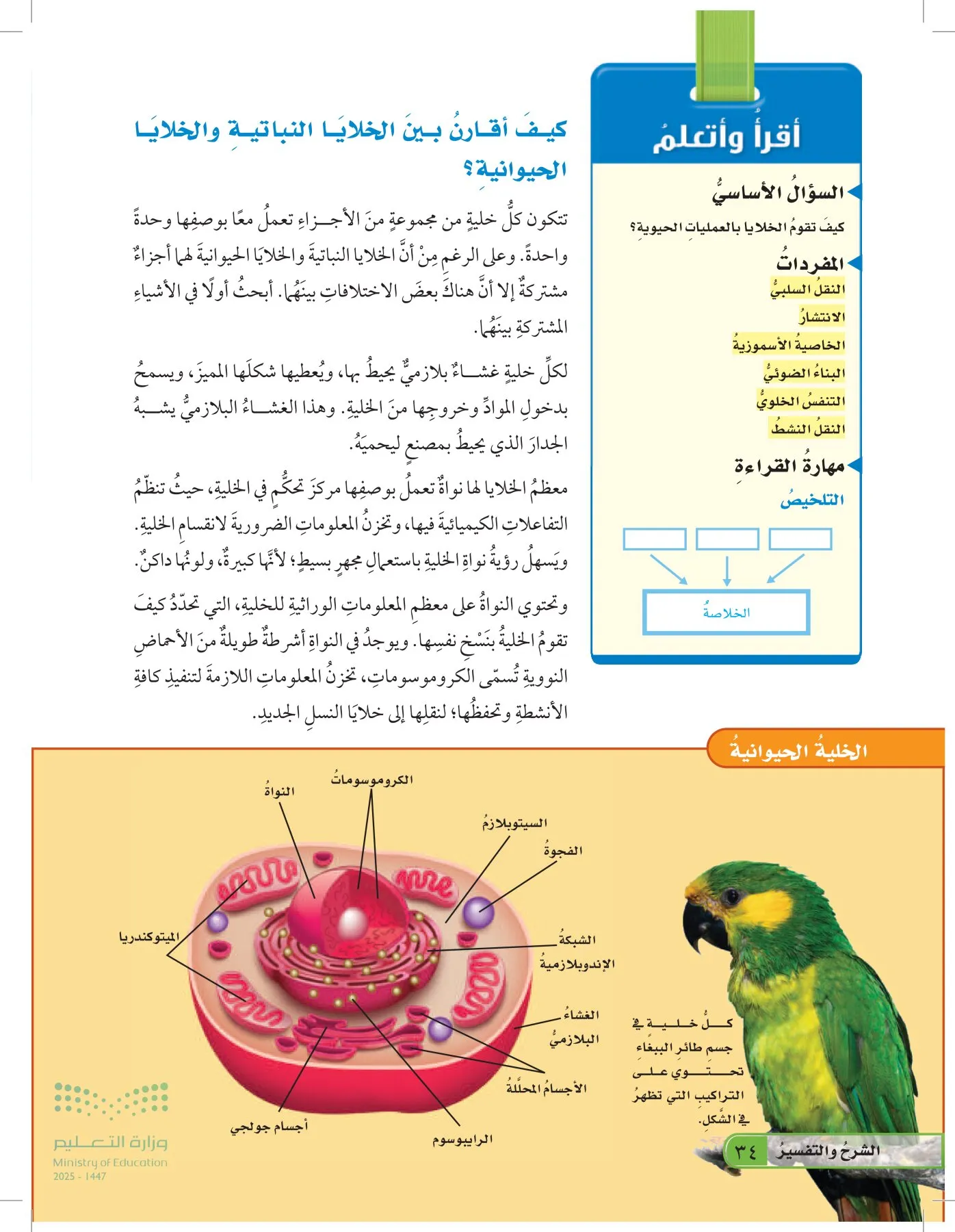 العلوم page-33
