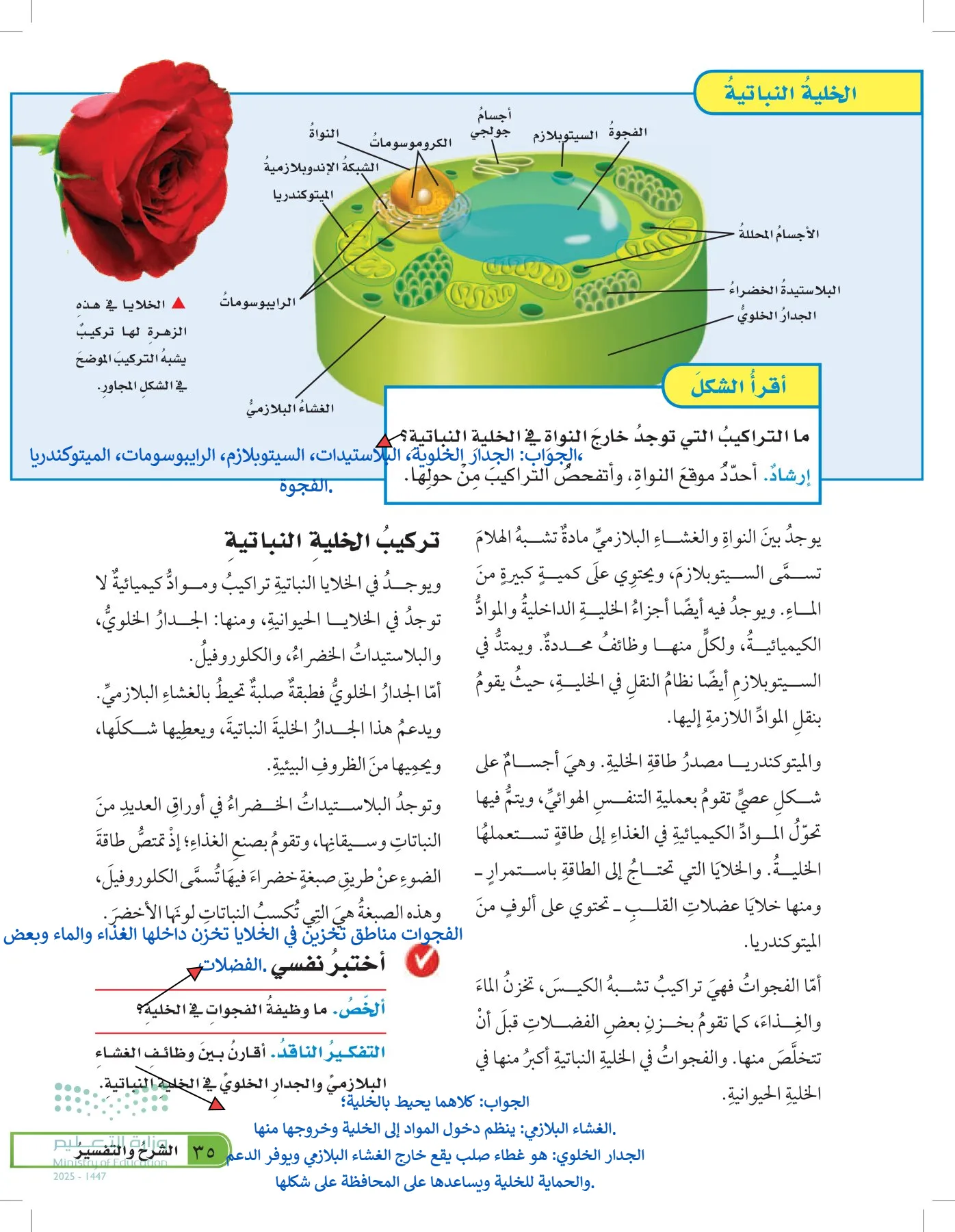العلوم page-34