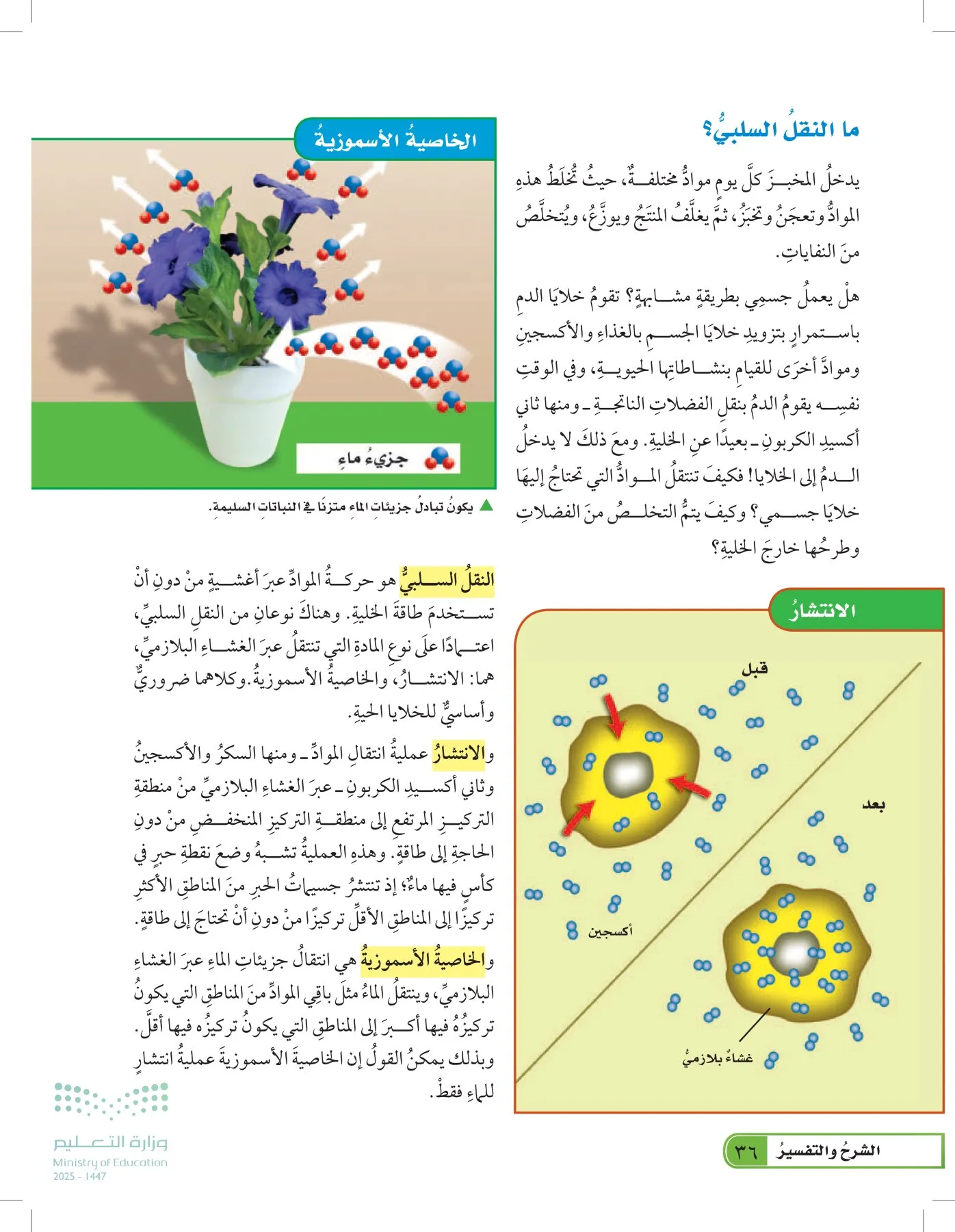 العلوم page-35