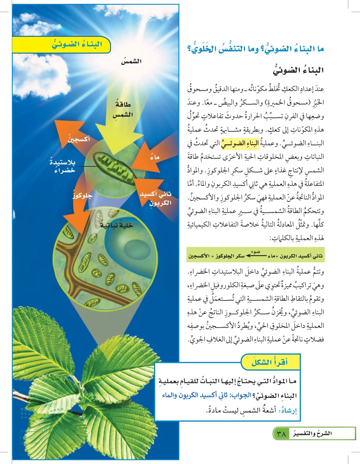 العلوم page-37