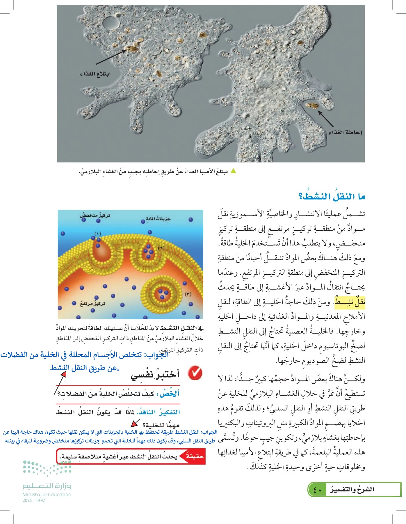 العلوم page-39
