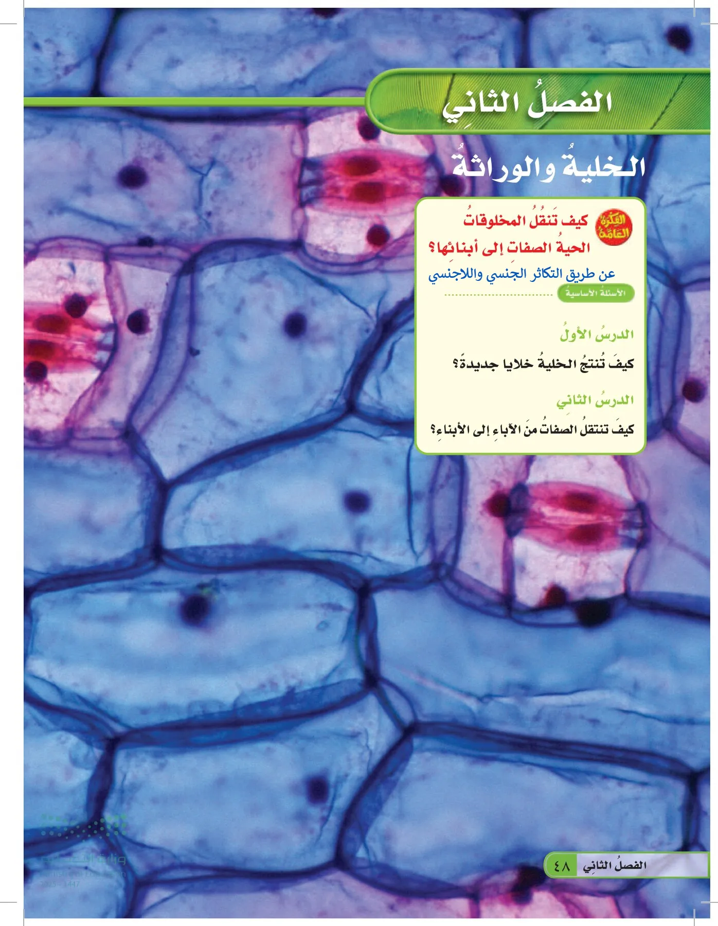 العلوم page-47
