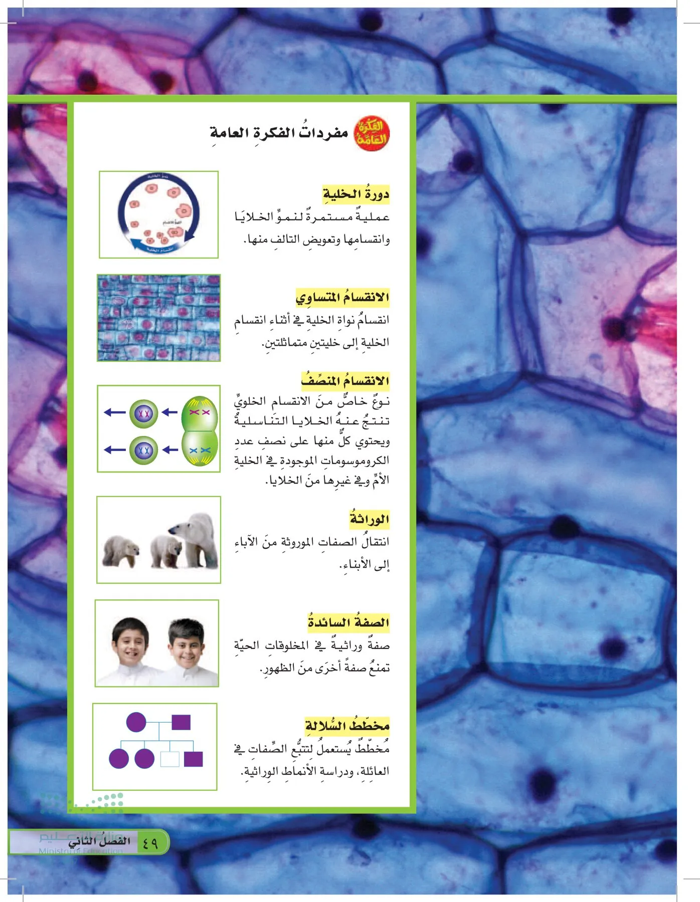 العلوم page-48