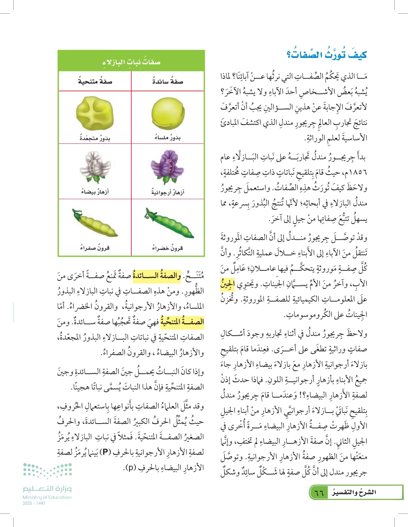 العلوم page-65