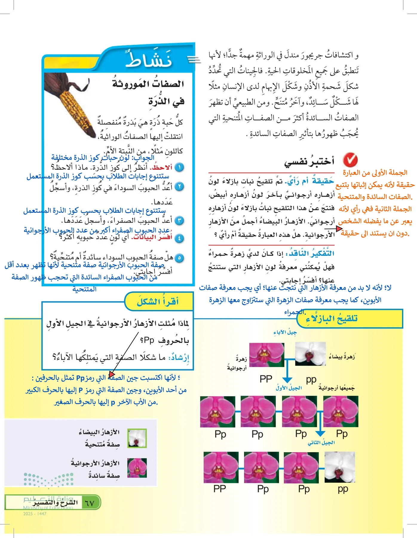 العلوم page-66