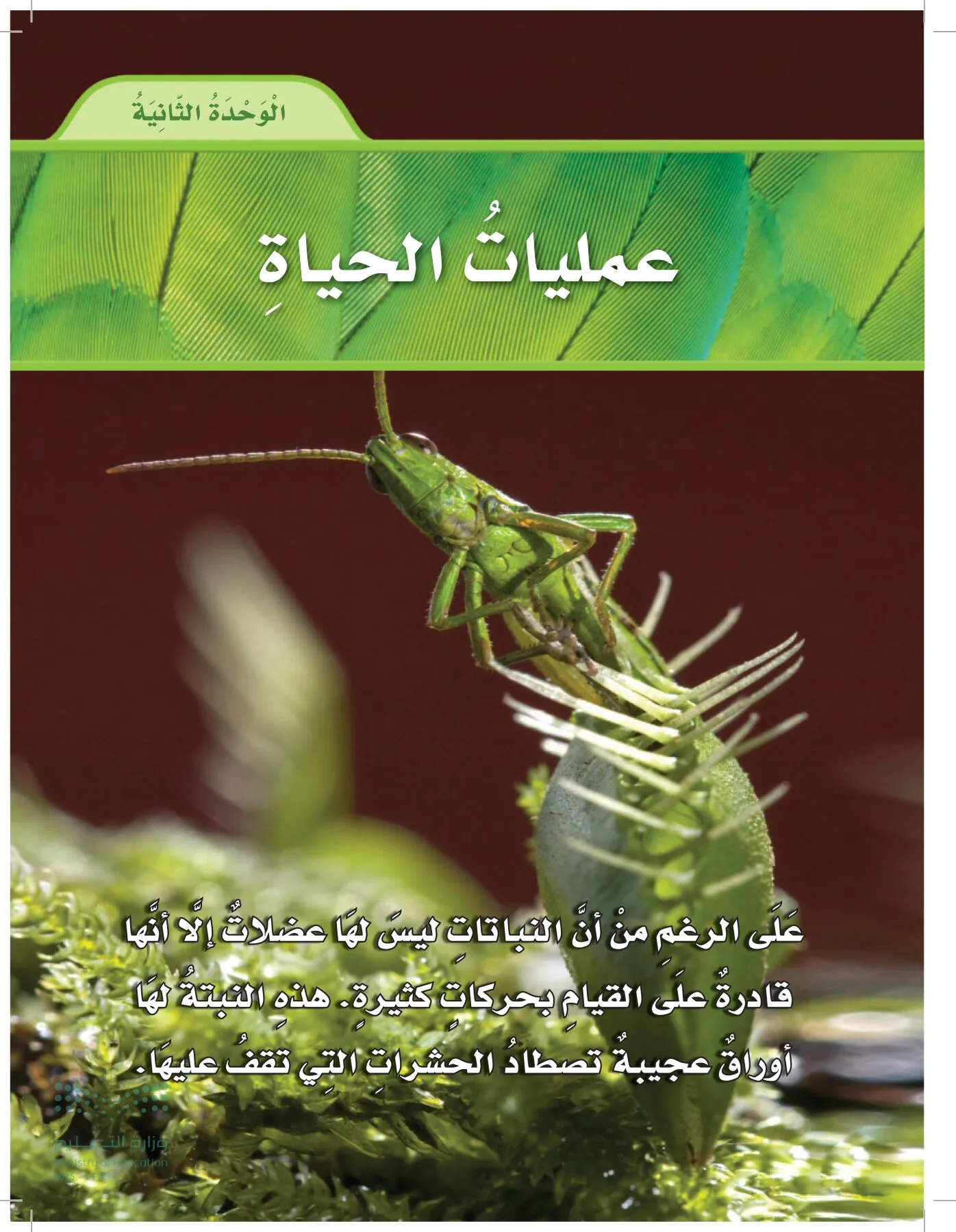 العلوم page-74