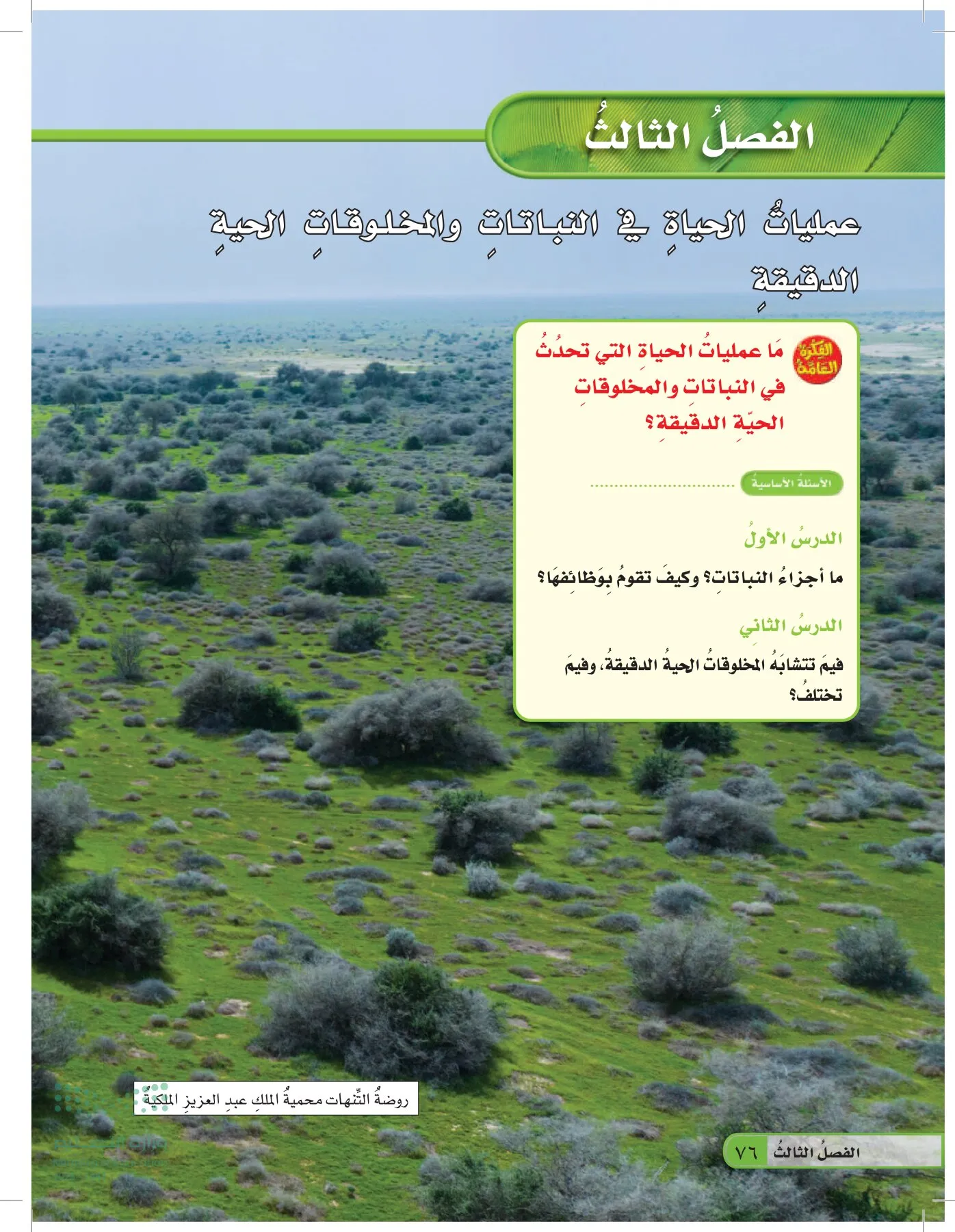 العلوم page-75