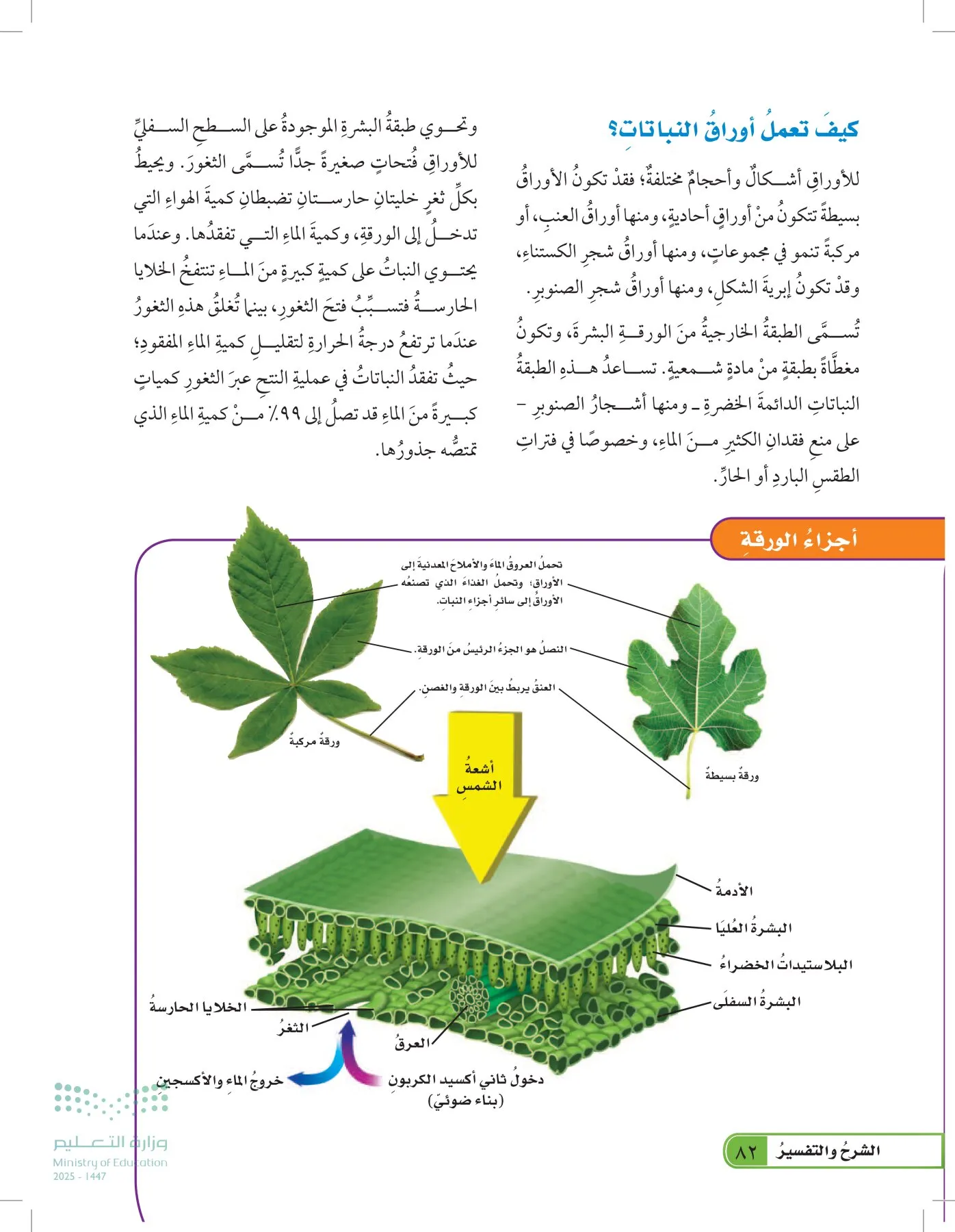 العلوم page-81