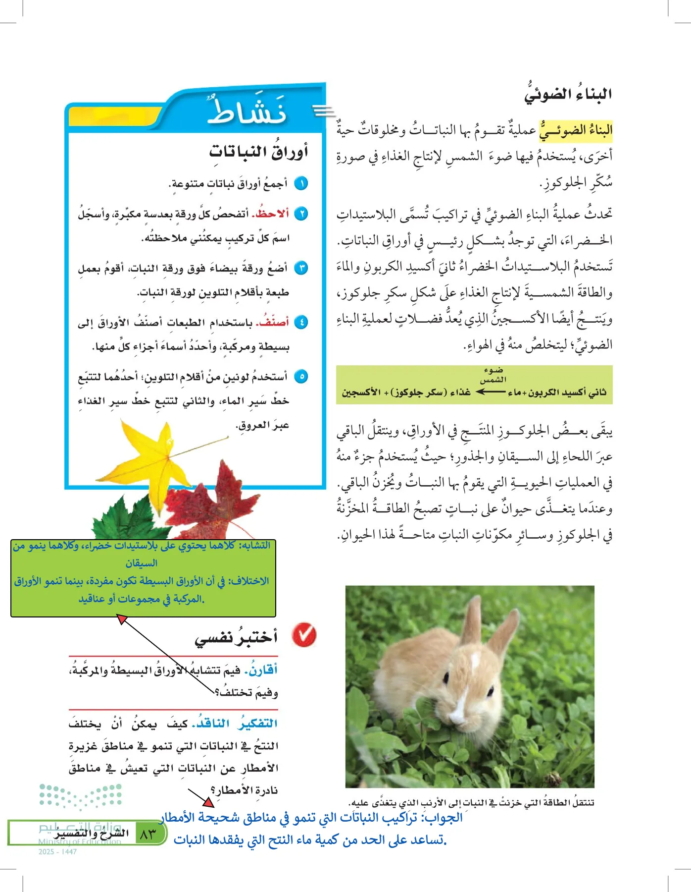 العلوم page-82