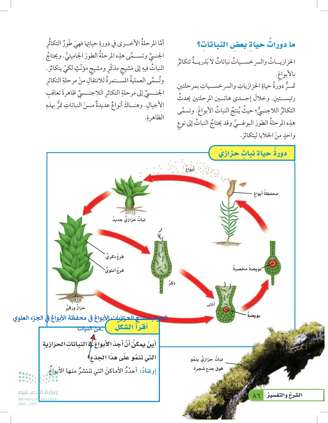 العلوم page-85