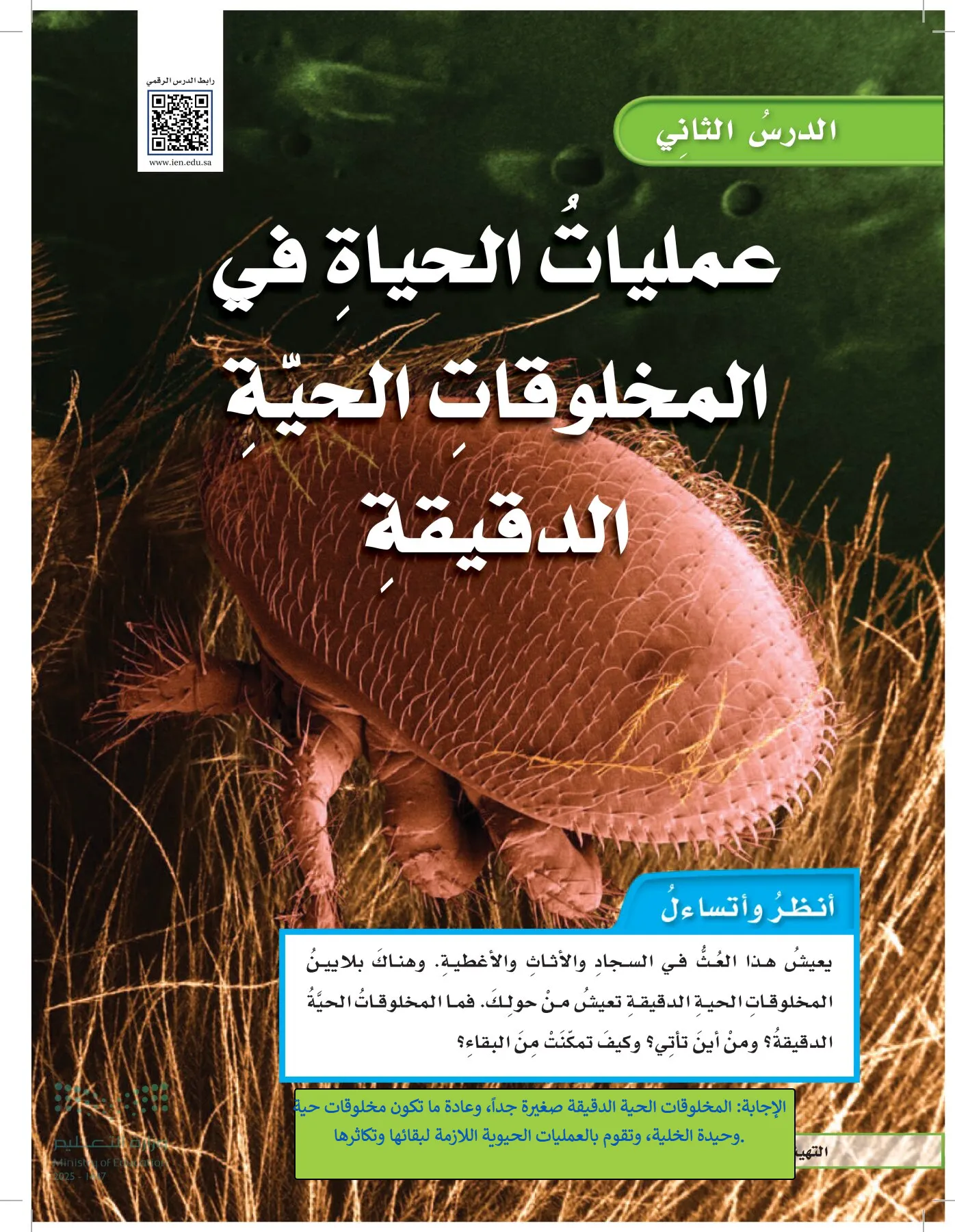 العلوم page-91