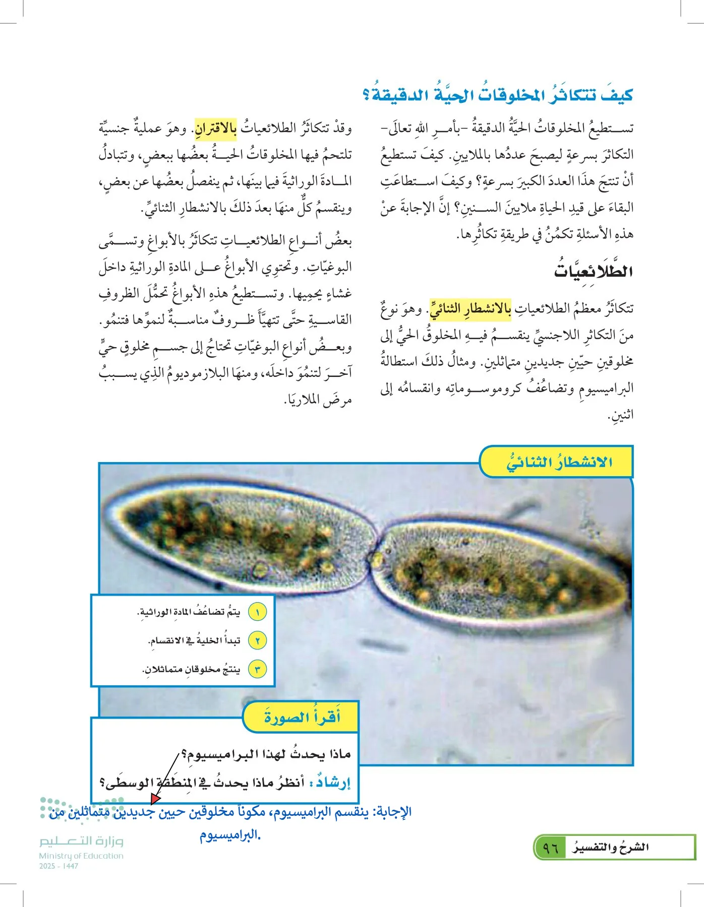 العلوم page-95