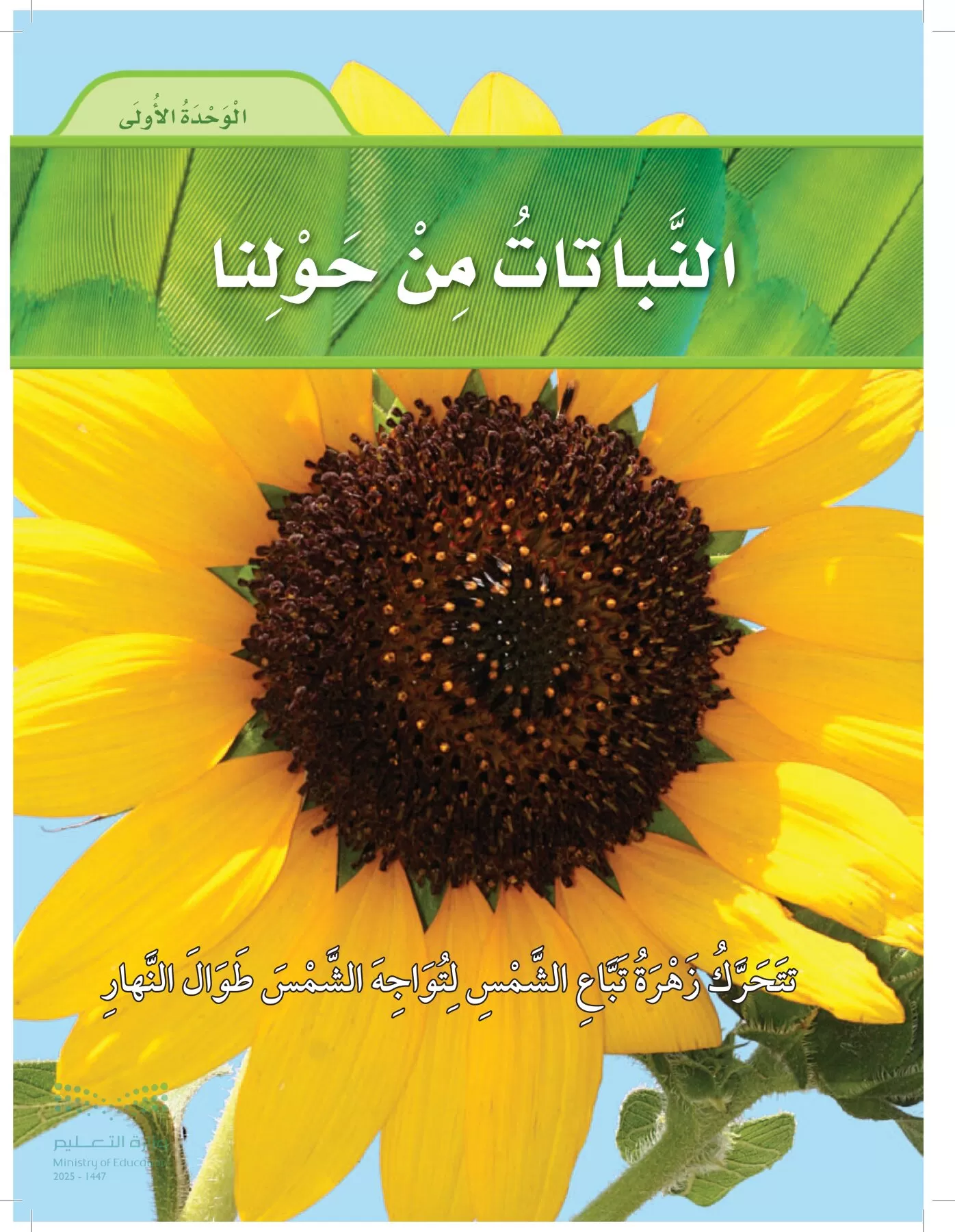 العلوم page-10