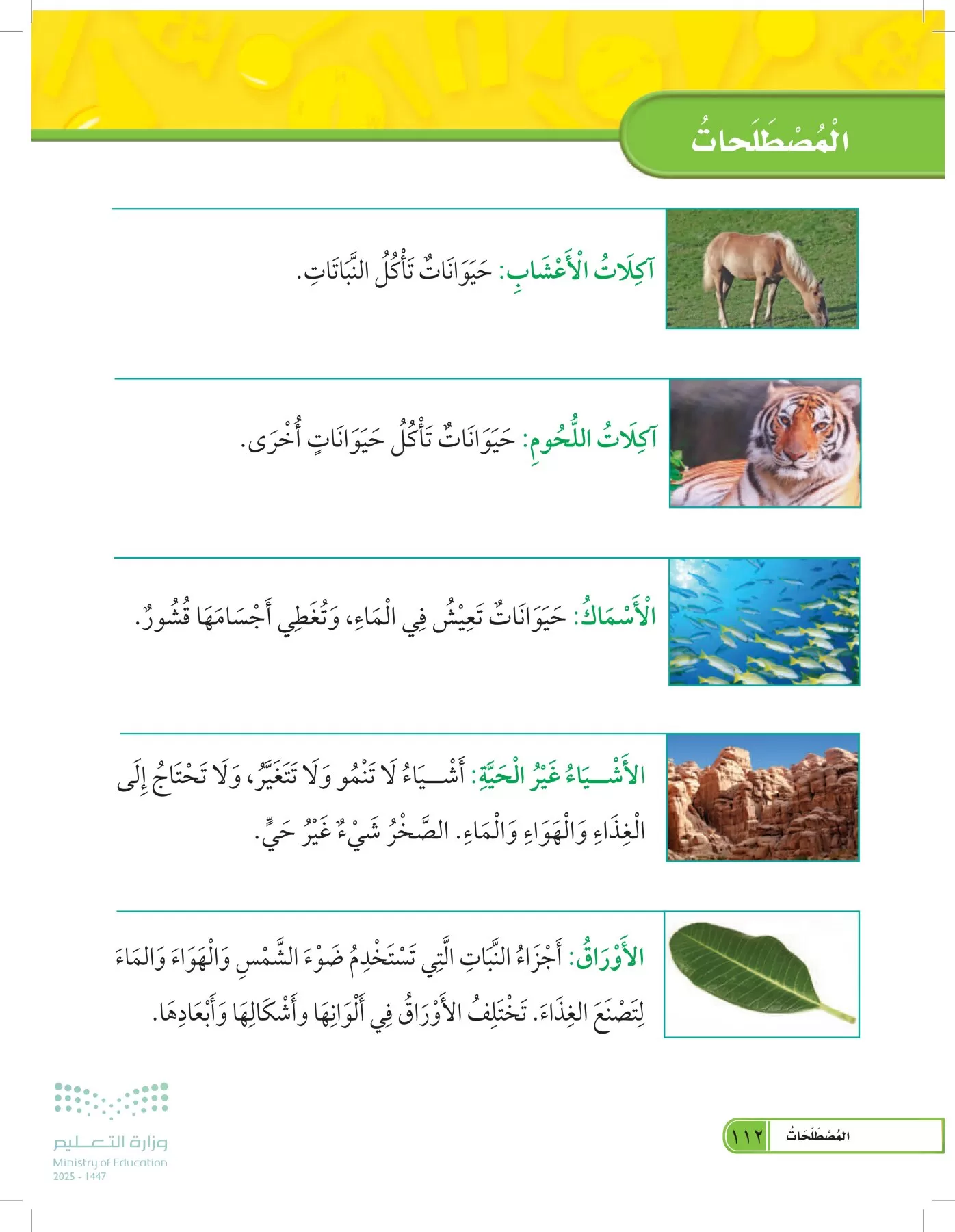 العلوم page-111