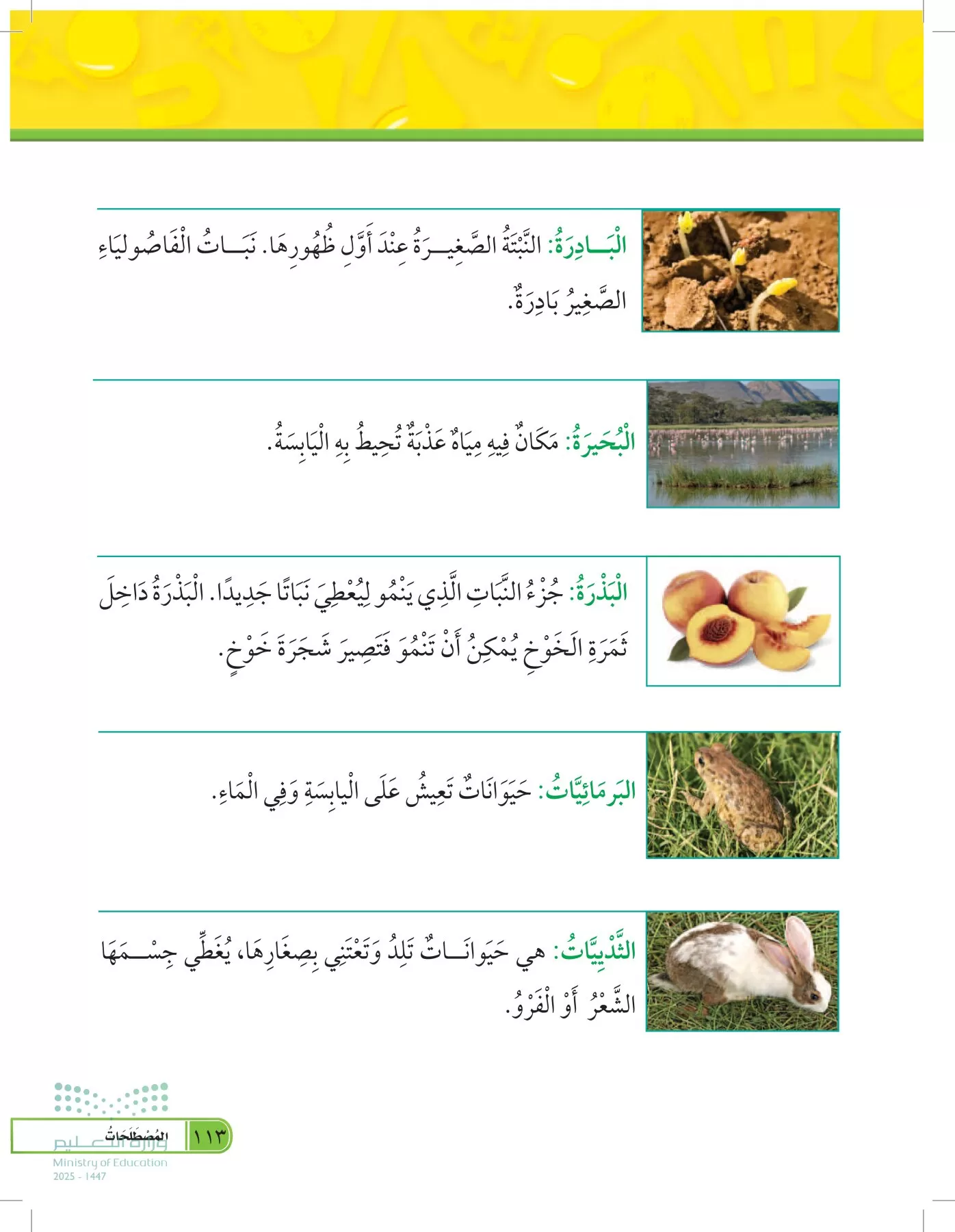 العلوم page-112
