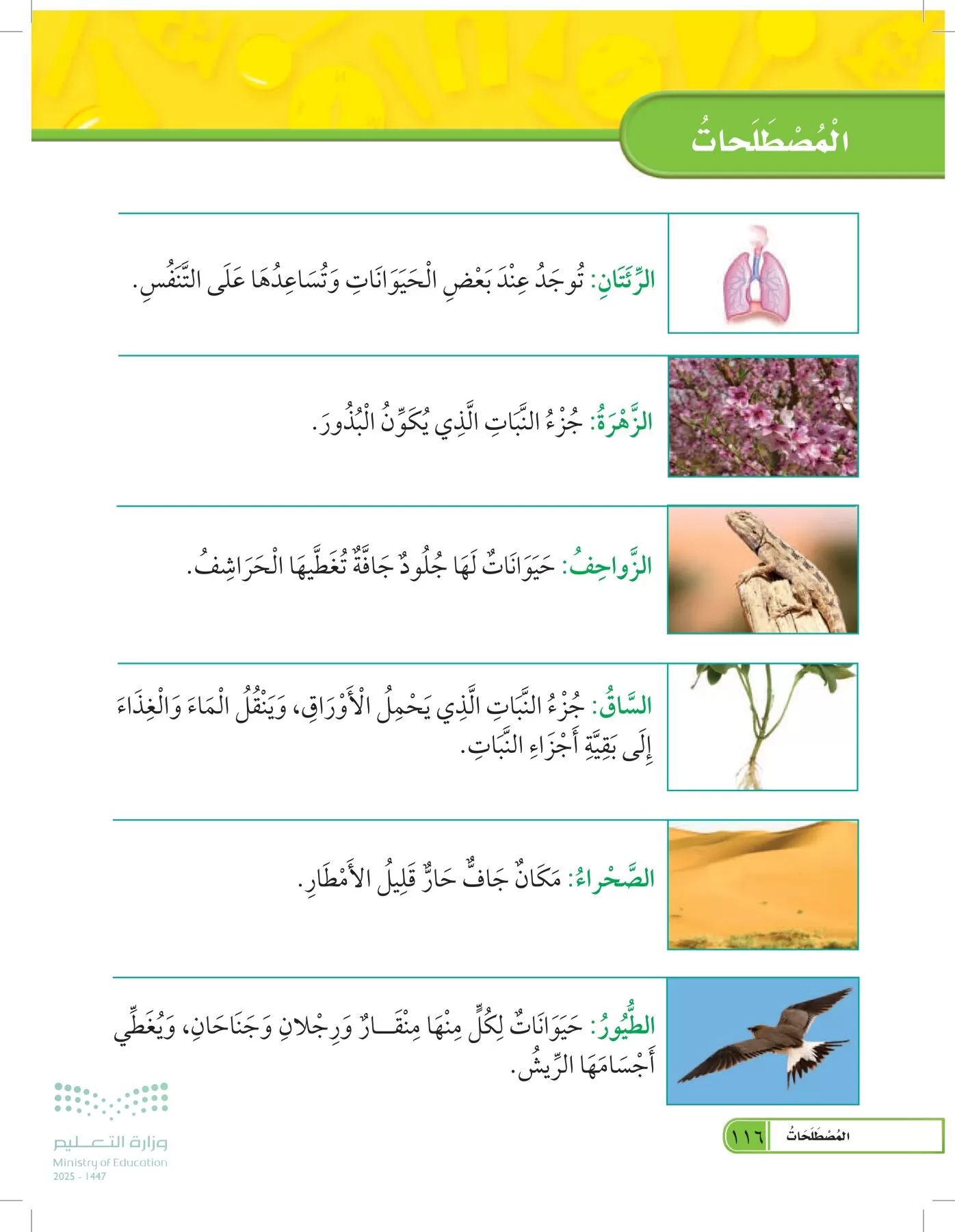 العلوم page-115