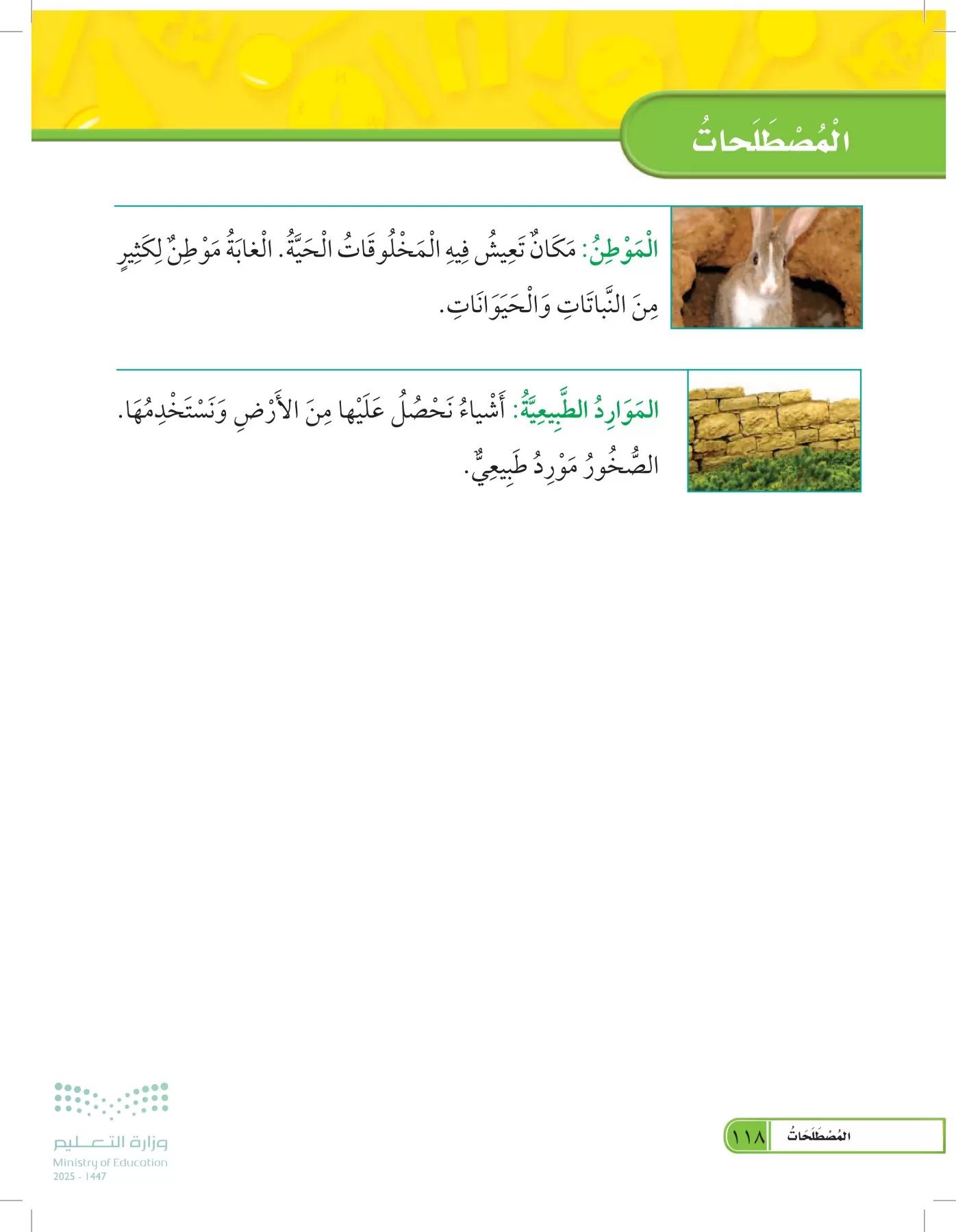العلوم page-117
