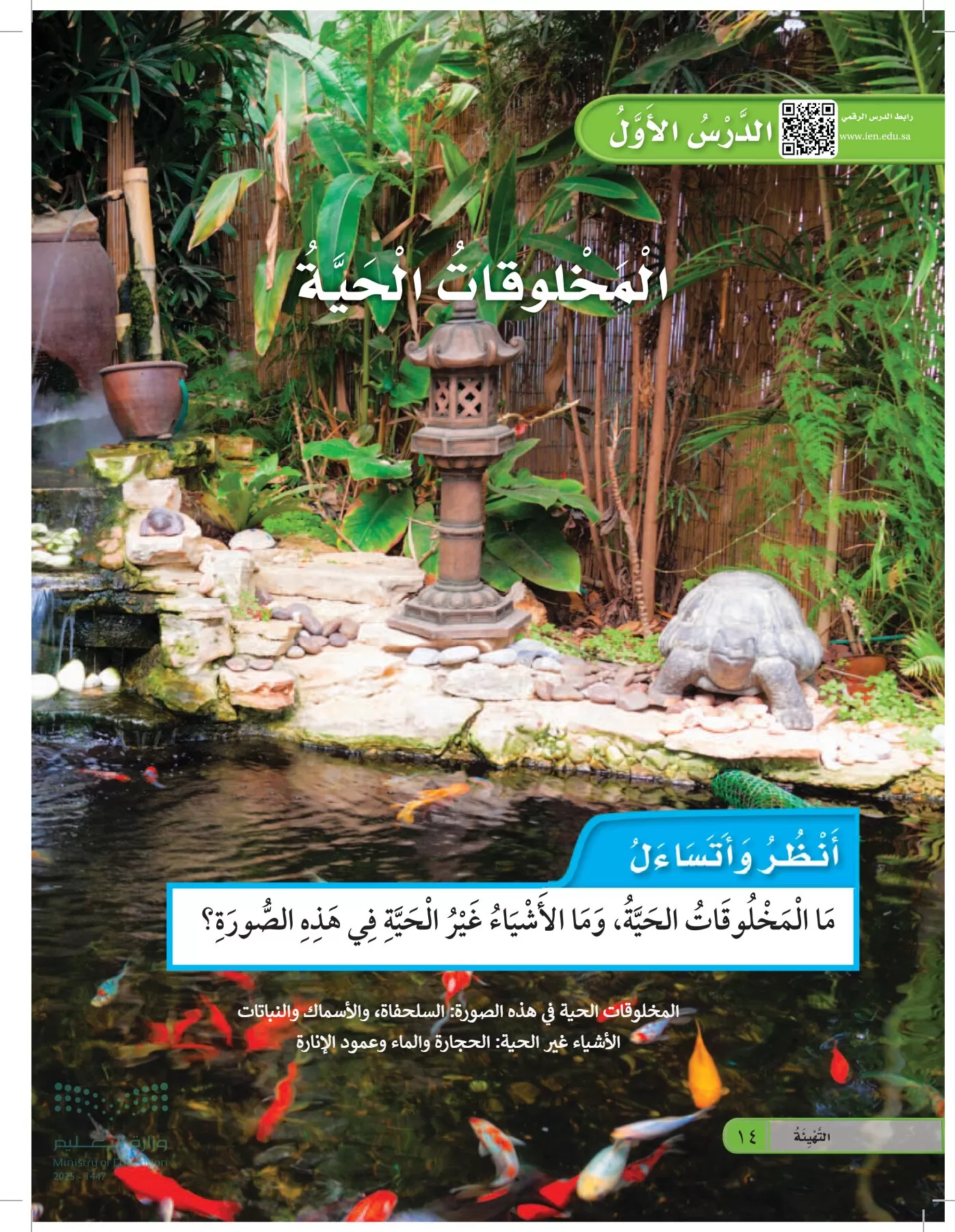 العلوم page-13