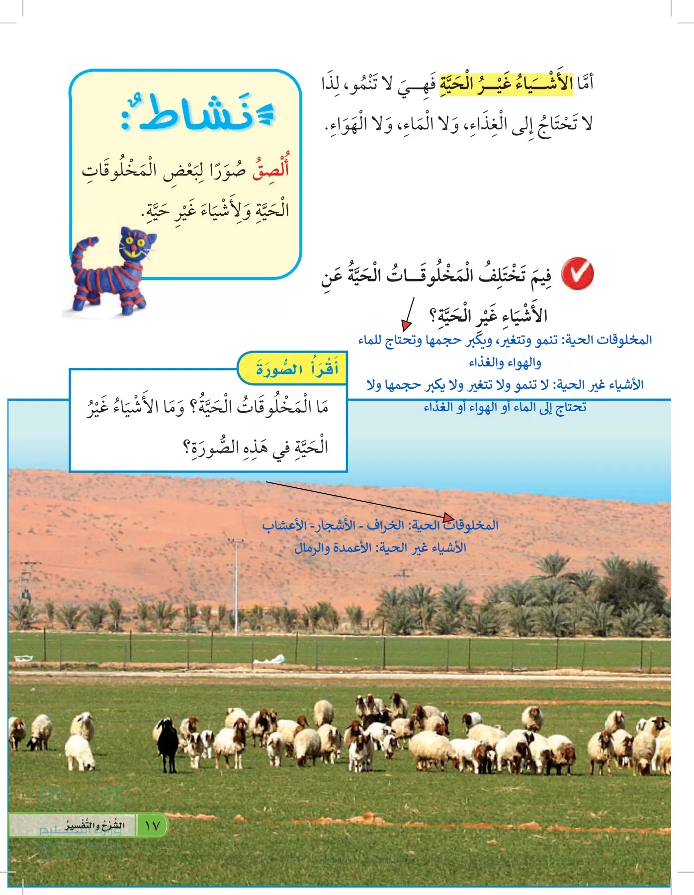 العلوم page-16