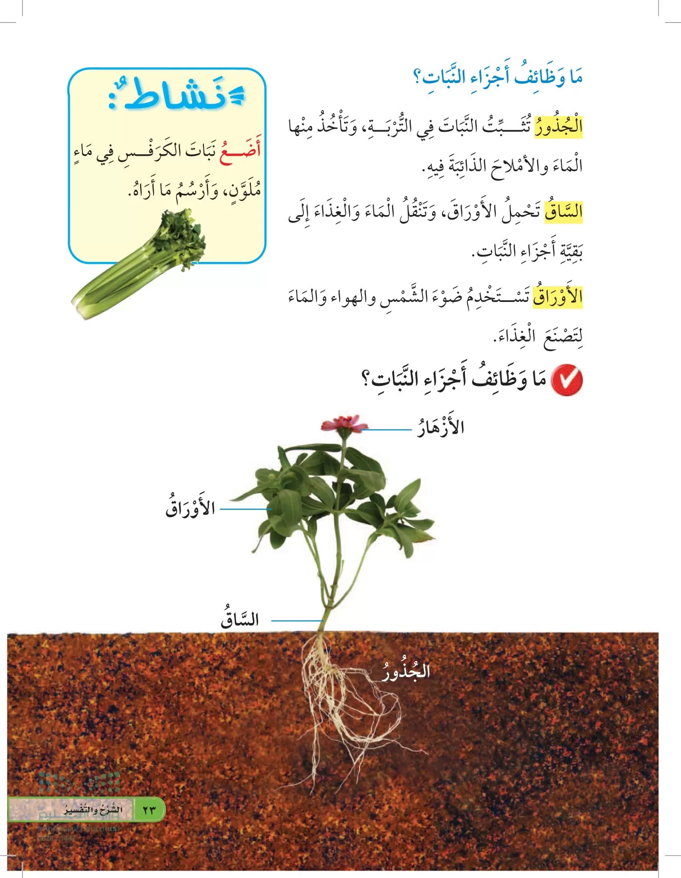 العلوم page-22