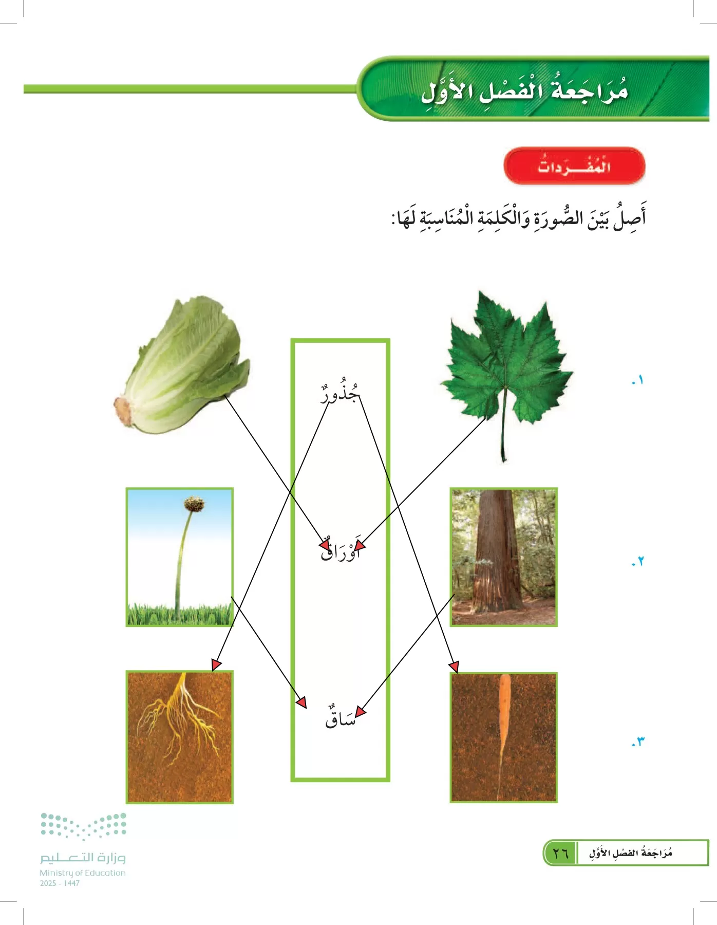 العلوم page-25