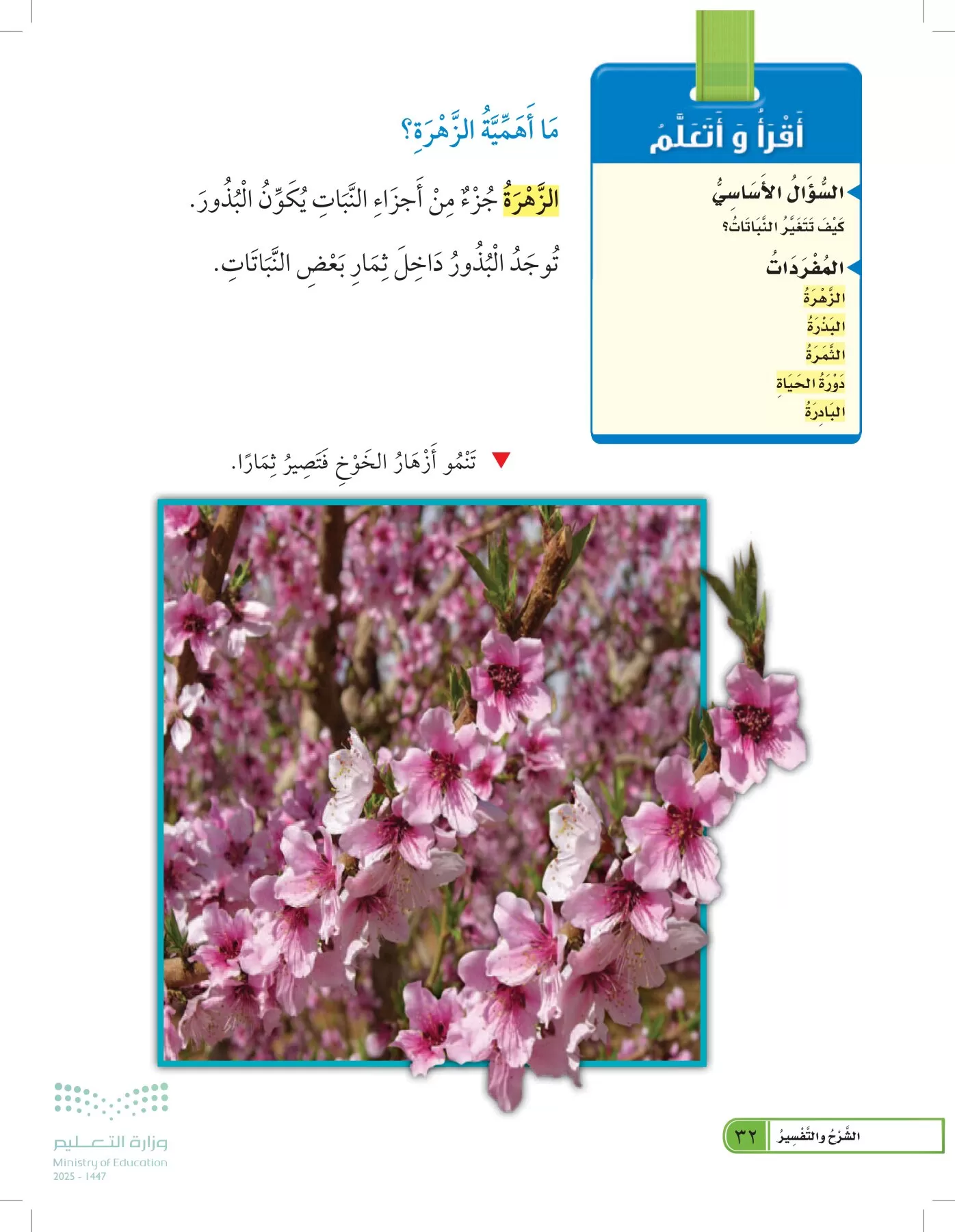 العلوم page-31