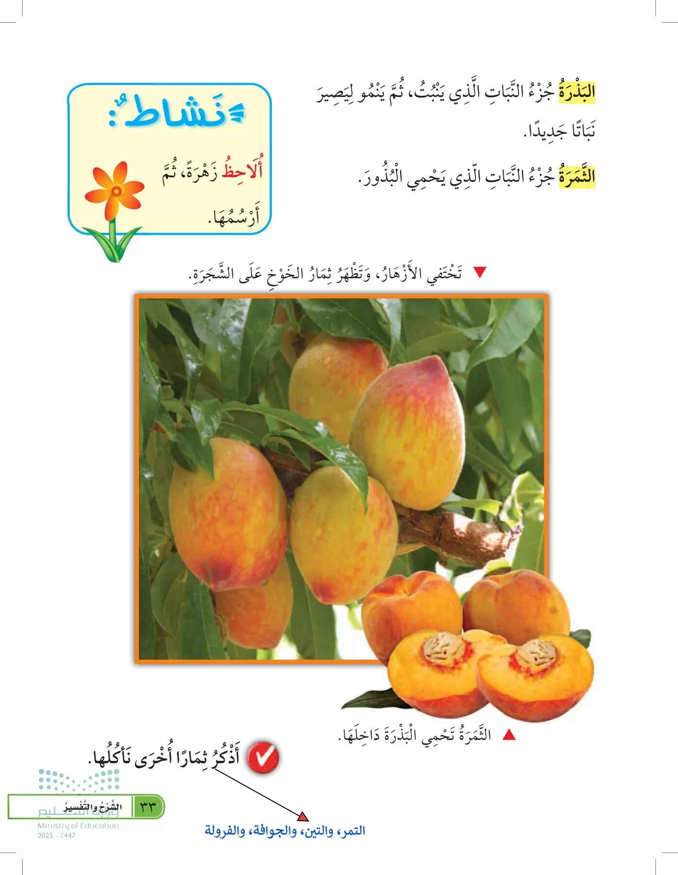 العلوم page-32