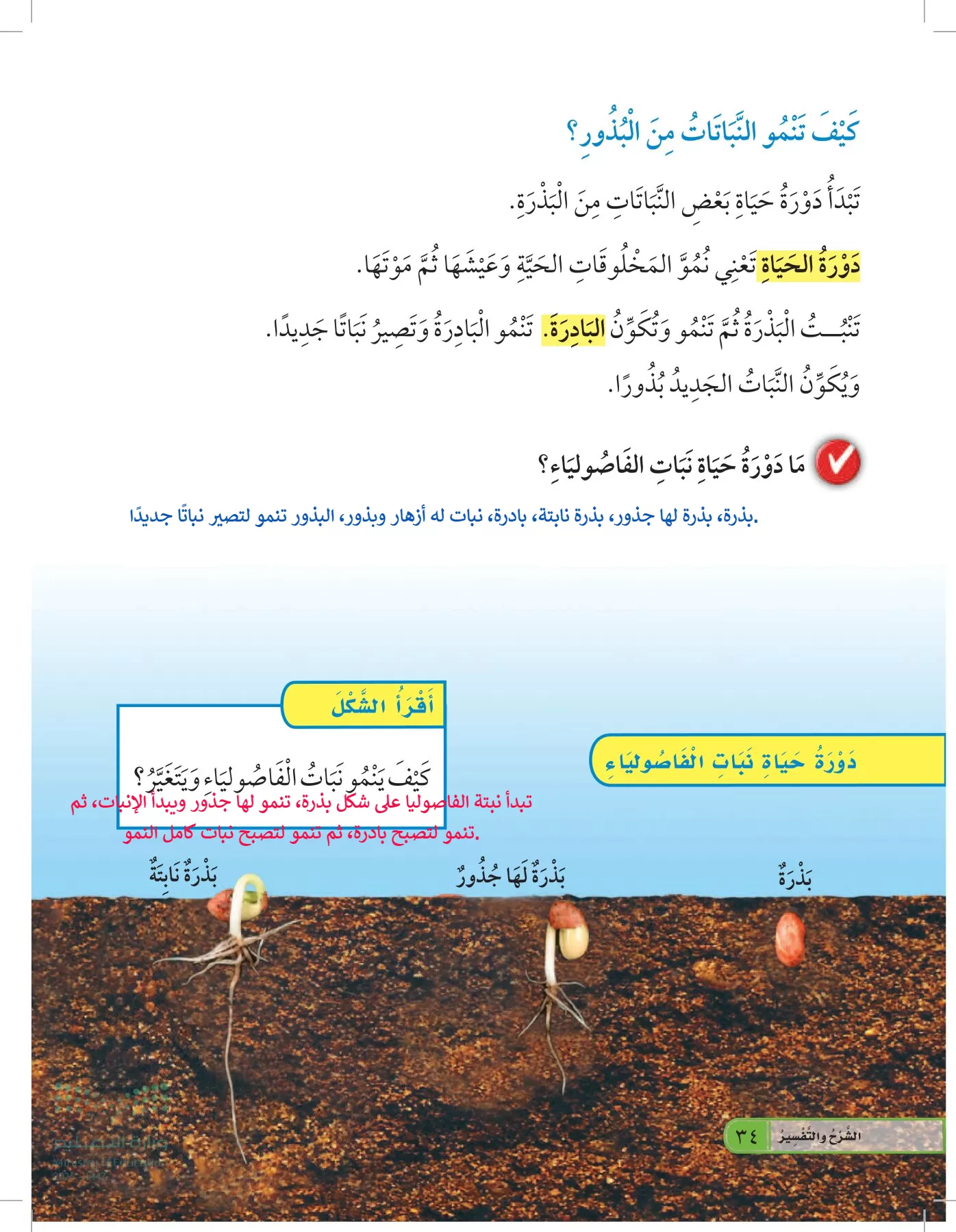 العلوم page-33