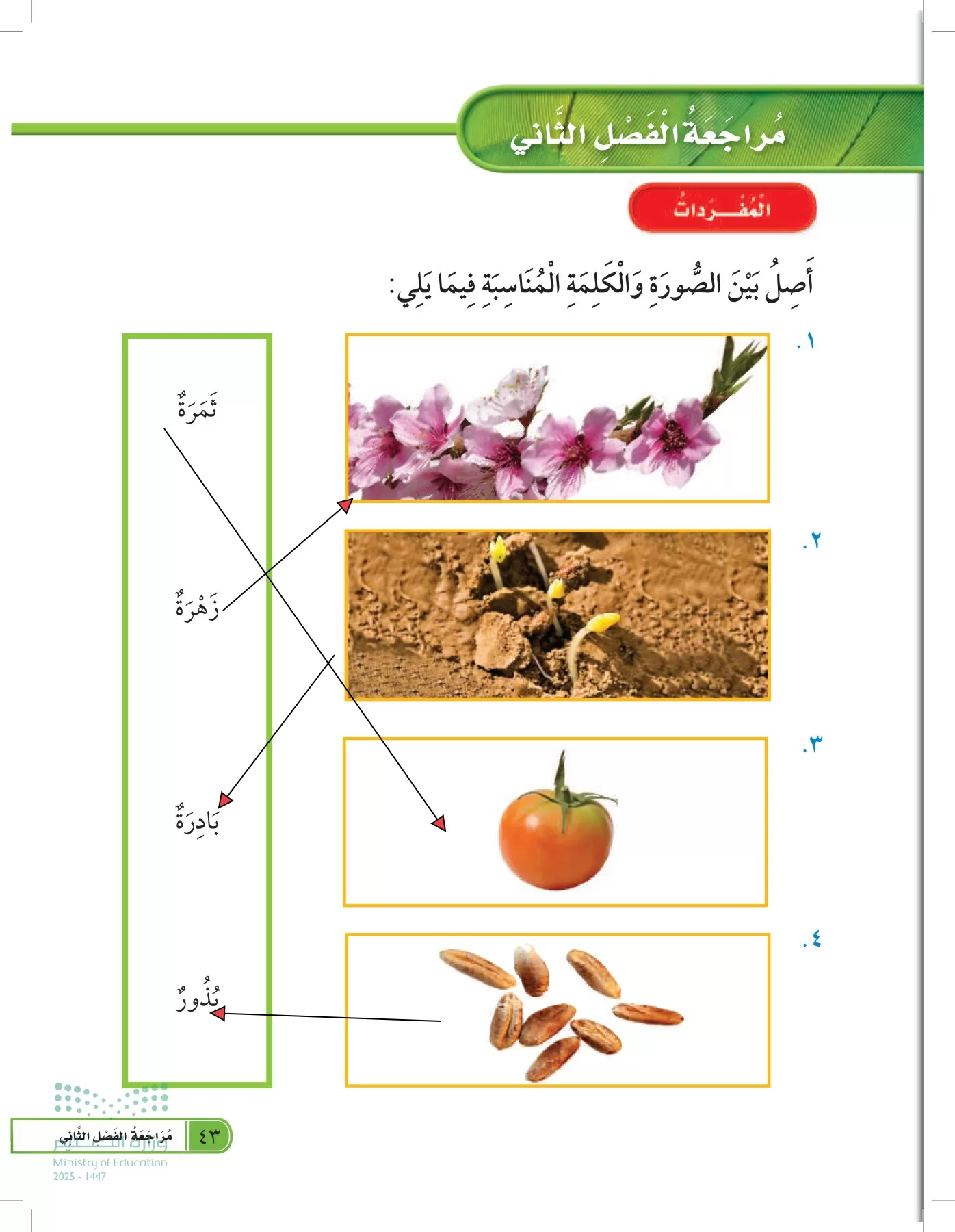 العلوم page-42
