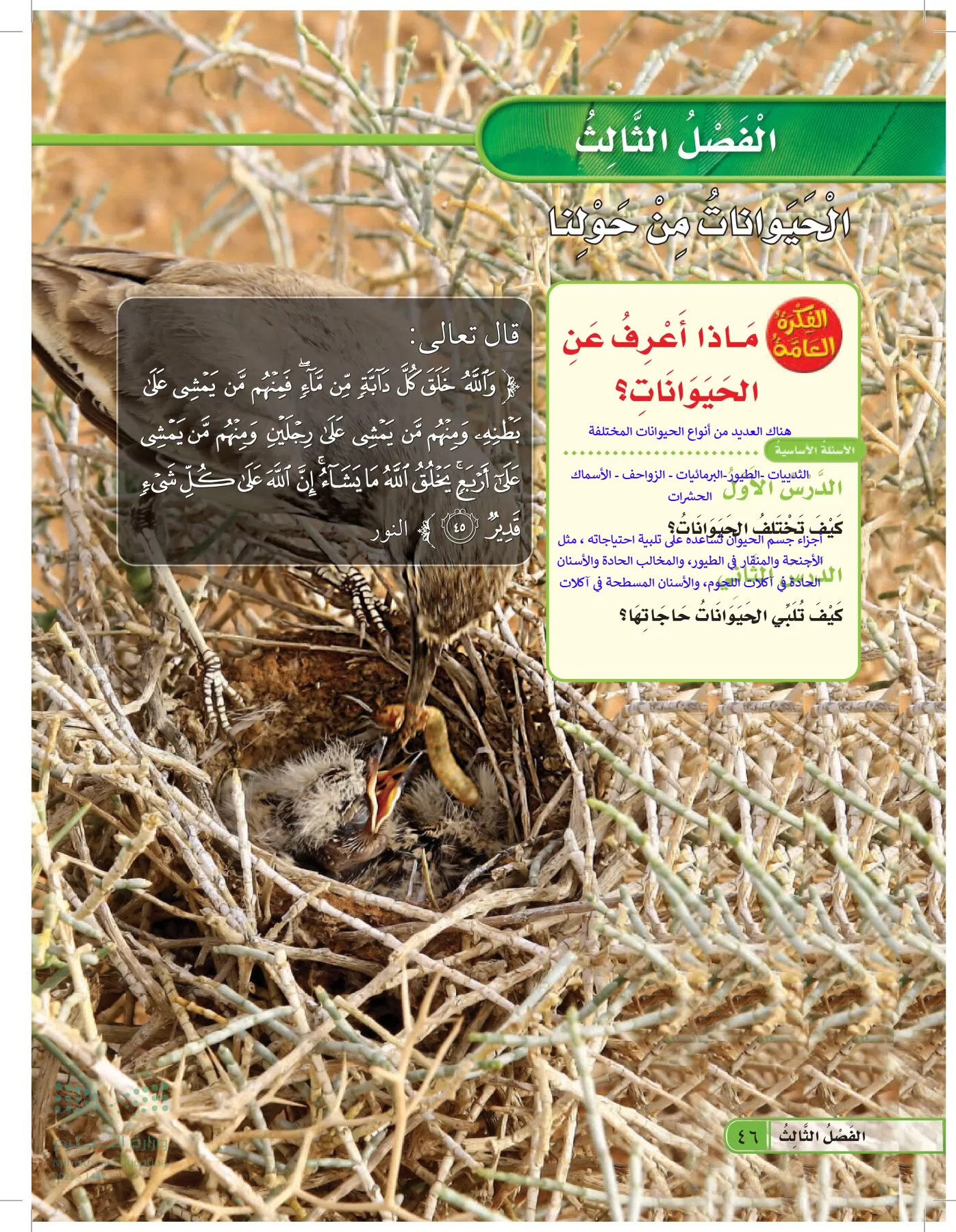 العلوم page-45