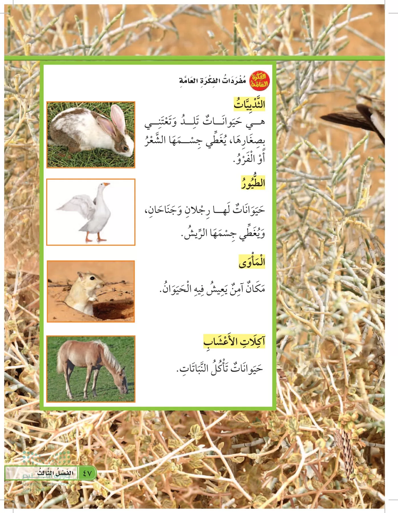 العلوم page-46