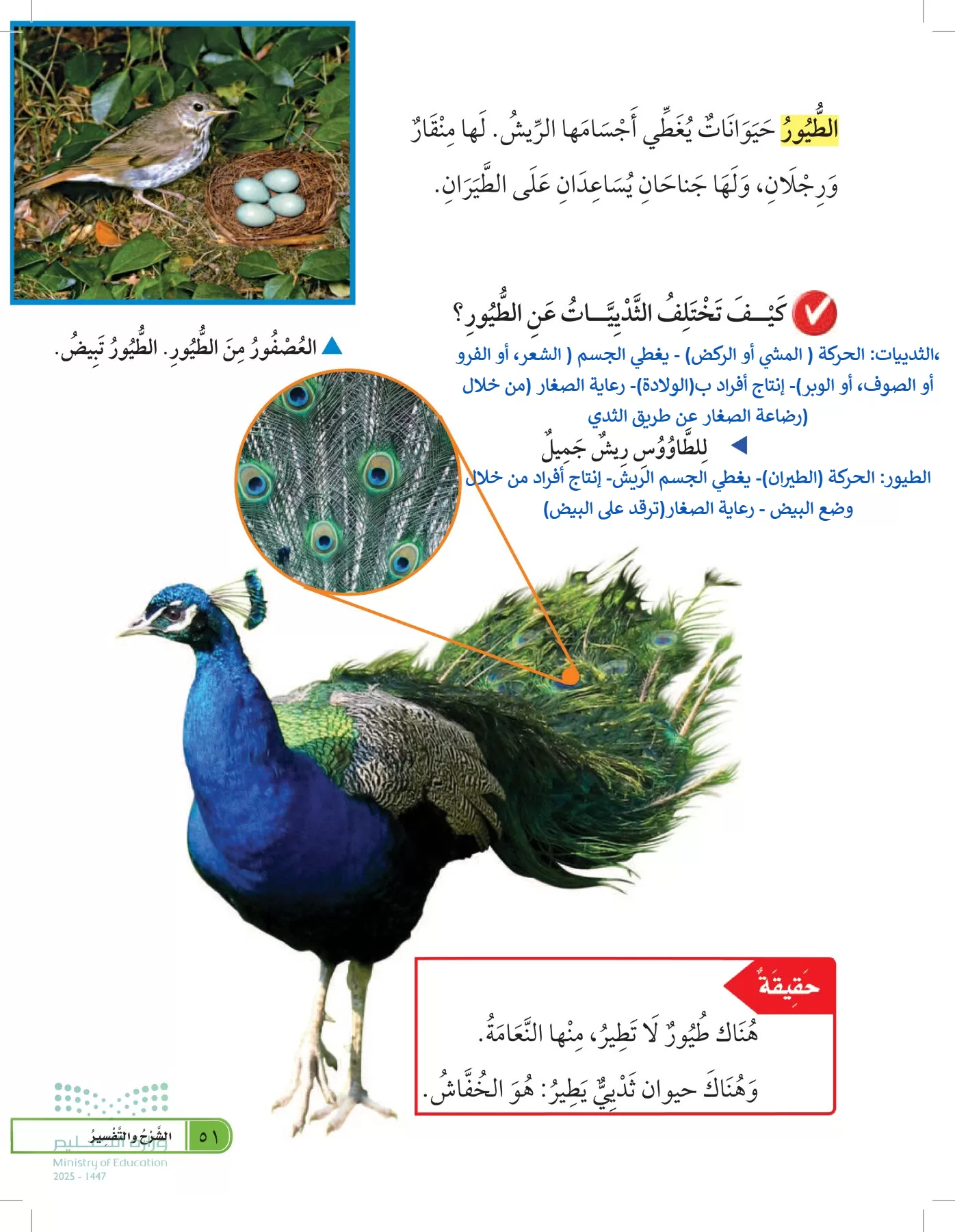 العلوم page-50