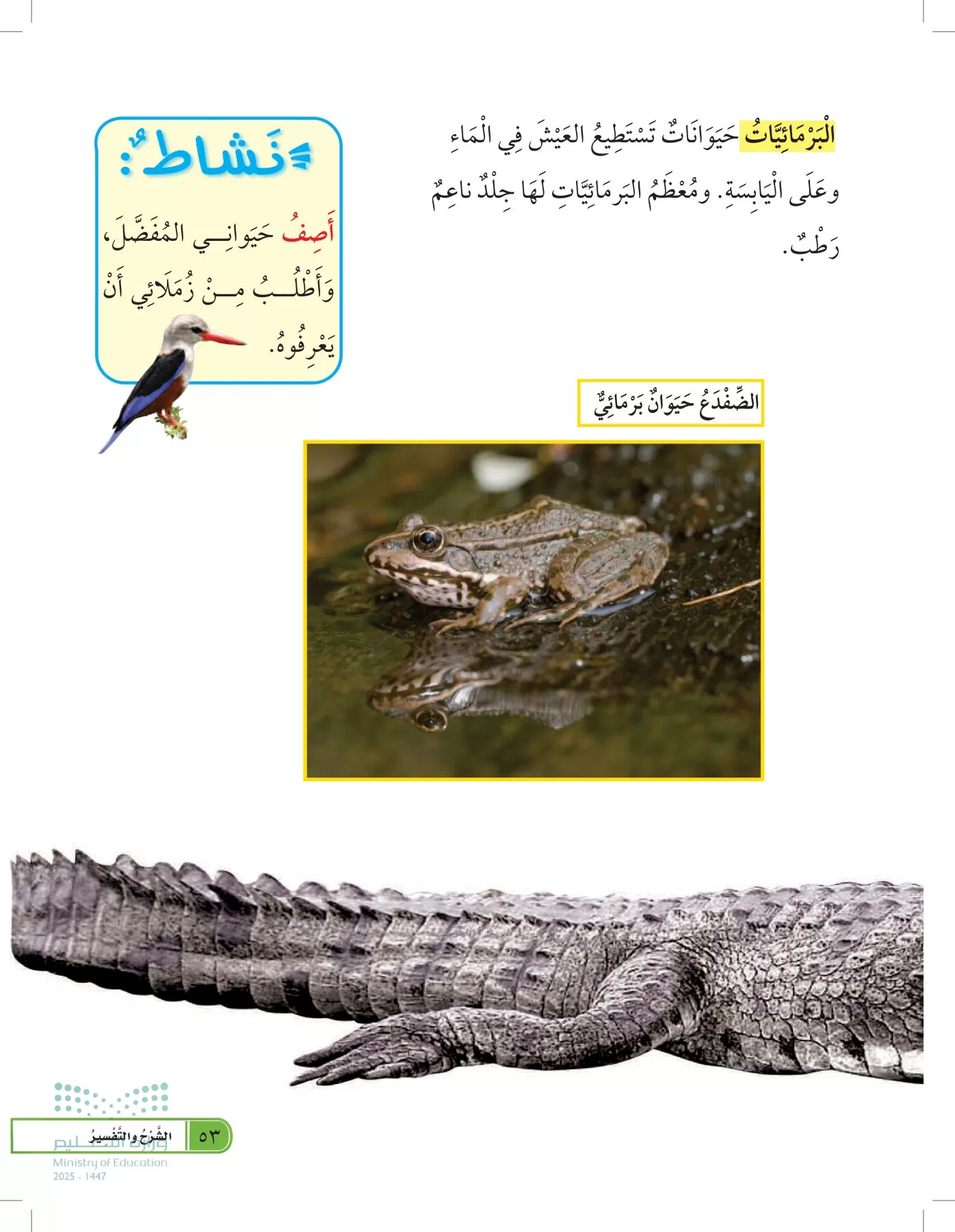 العلوم page-52