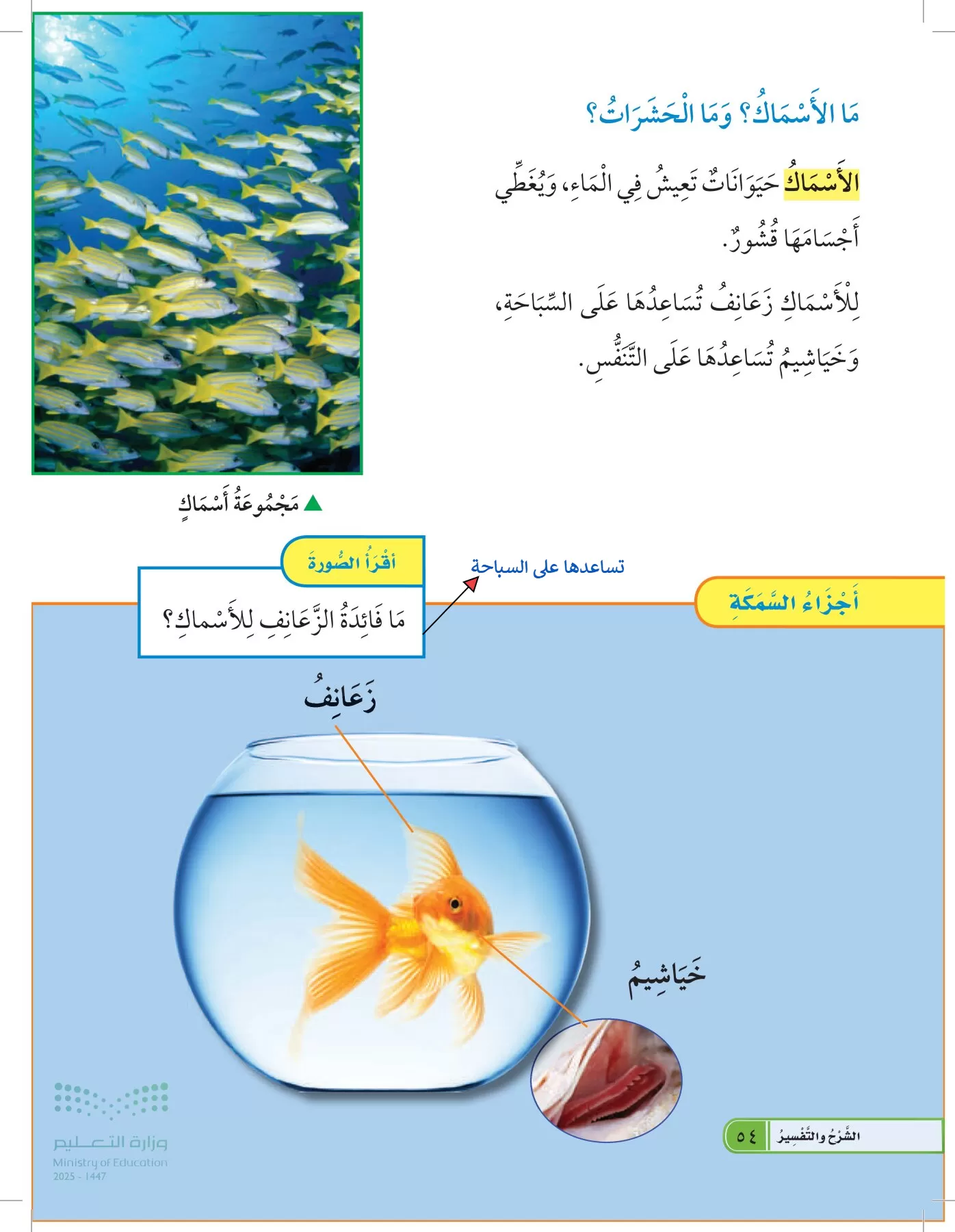 العلوم page-53