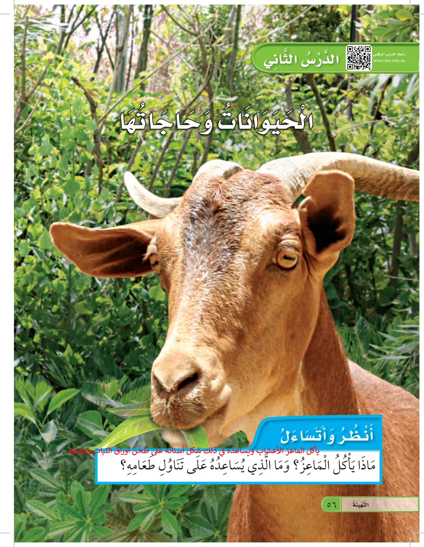 العلوم page-55
