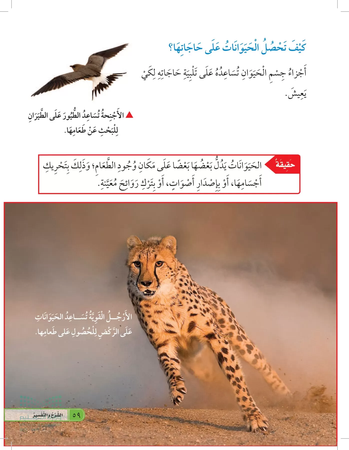 العلوم page-58