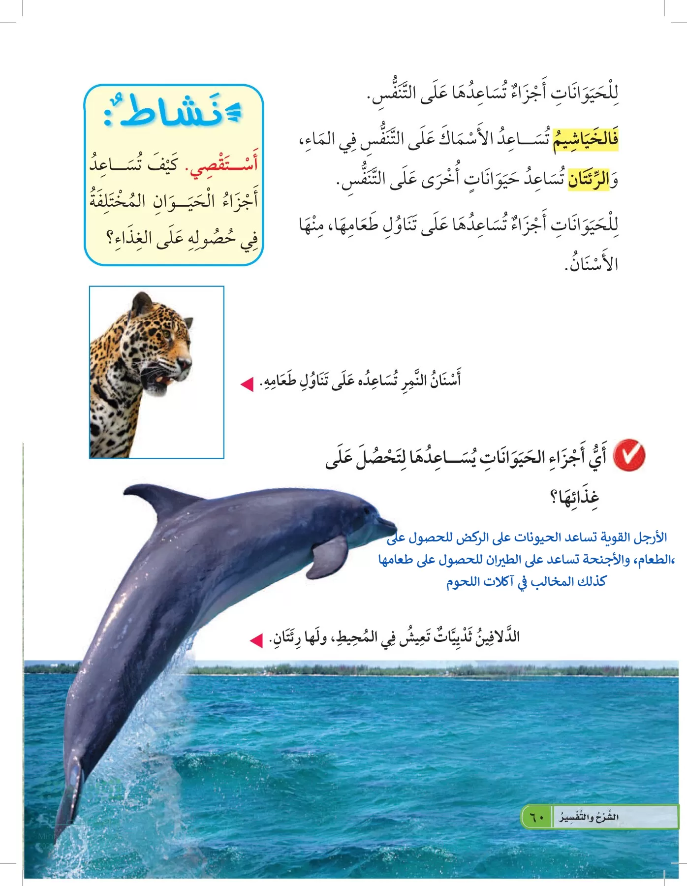 العلوم page-59