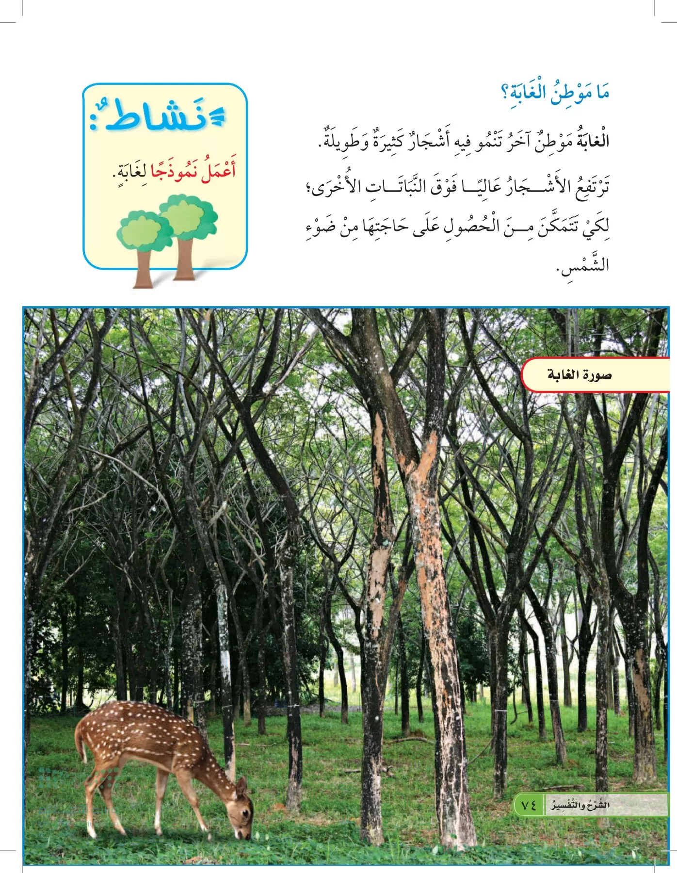 العلوم page-73