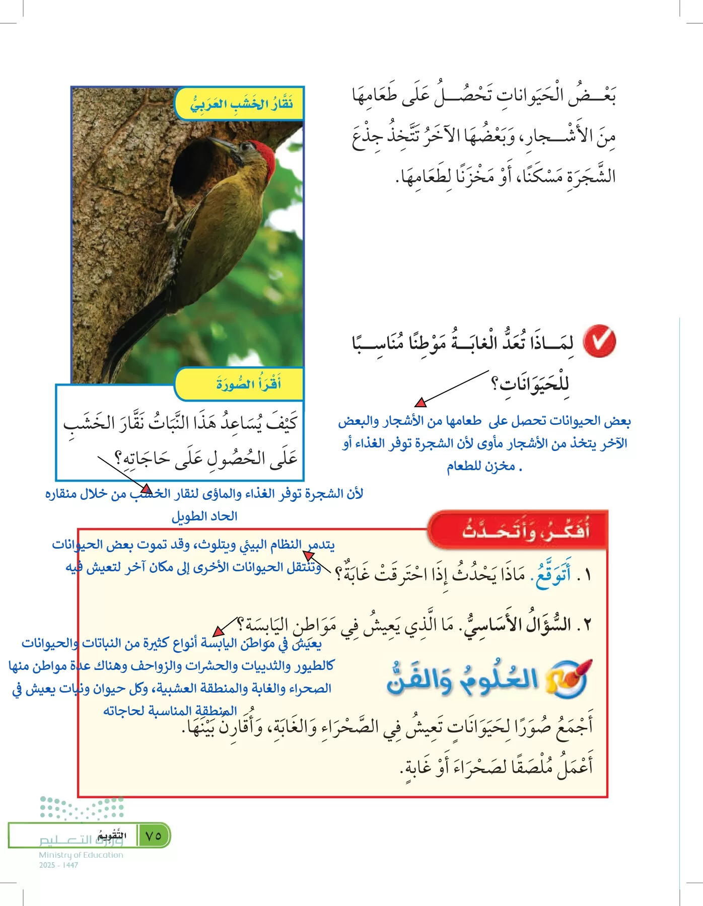 العلوم page-74