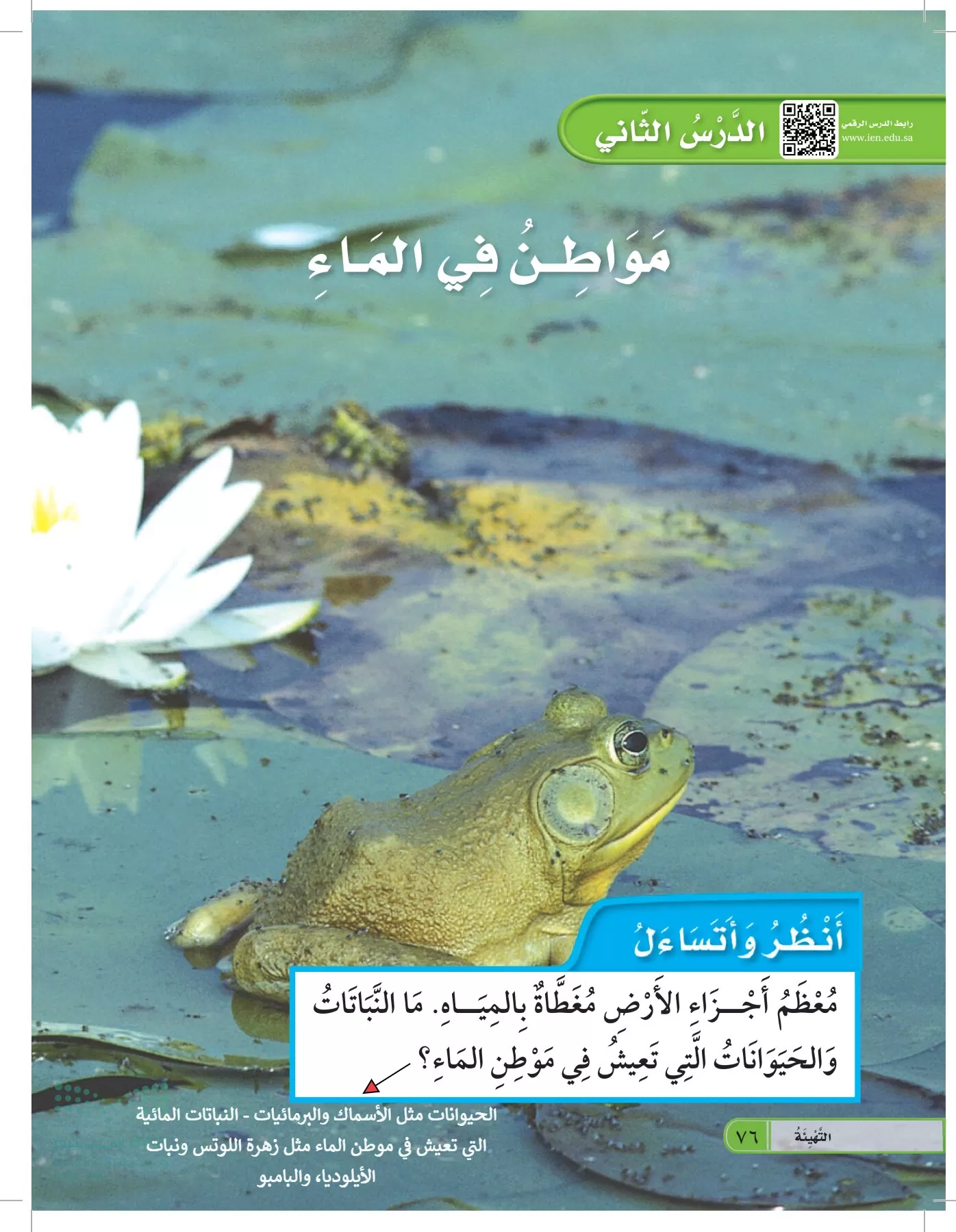 العلوم page-75
