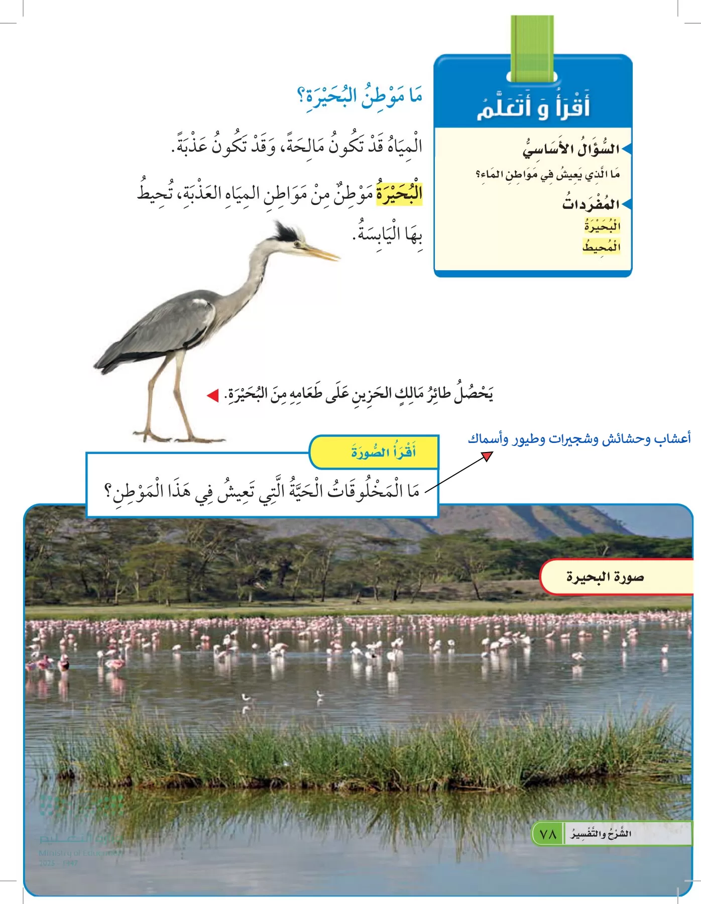 العلوم page-77