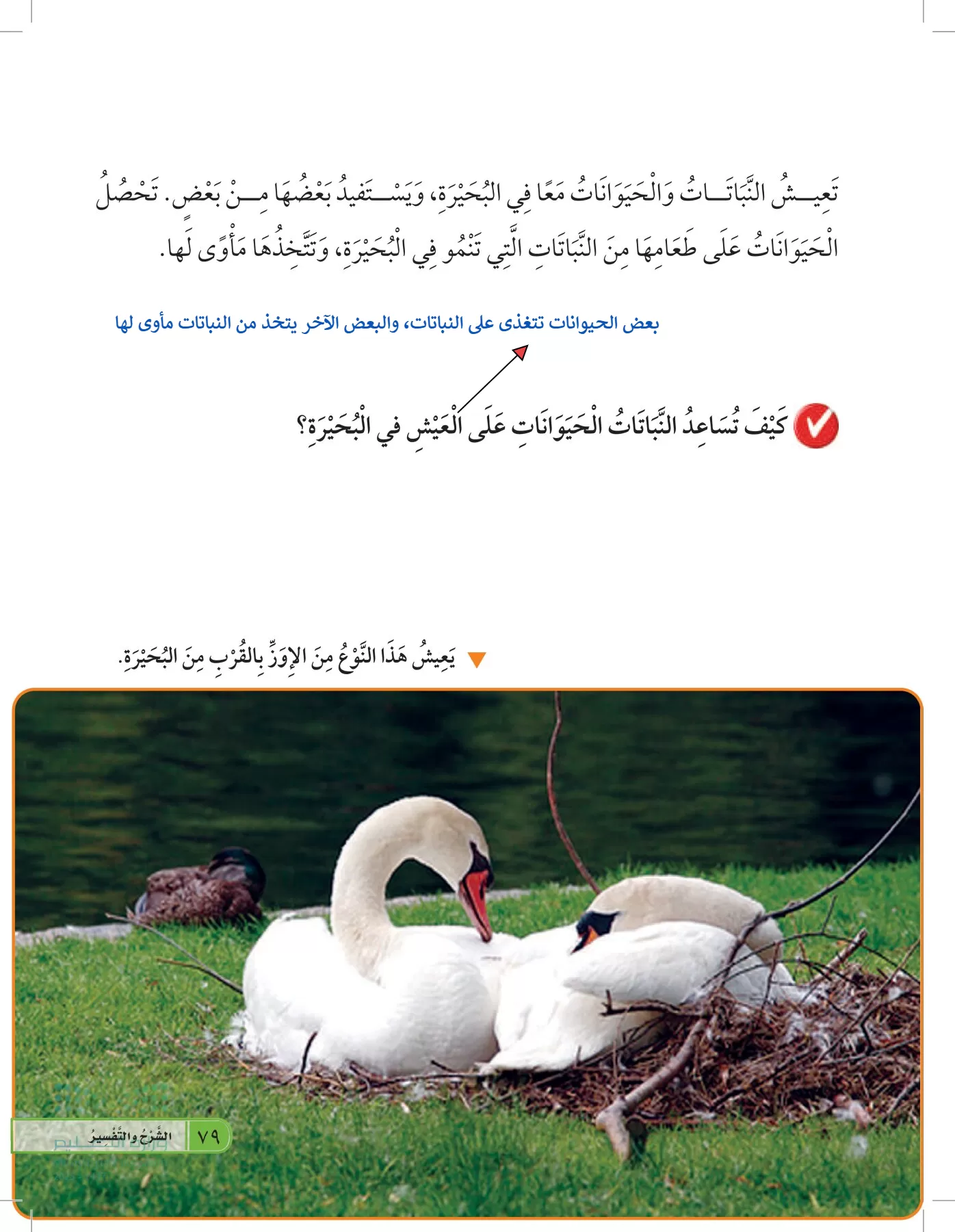 العلوم page-78