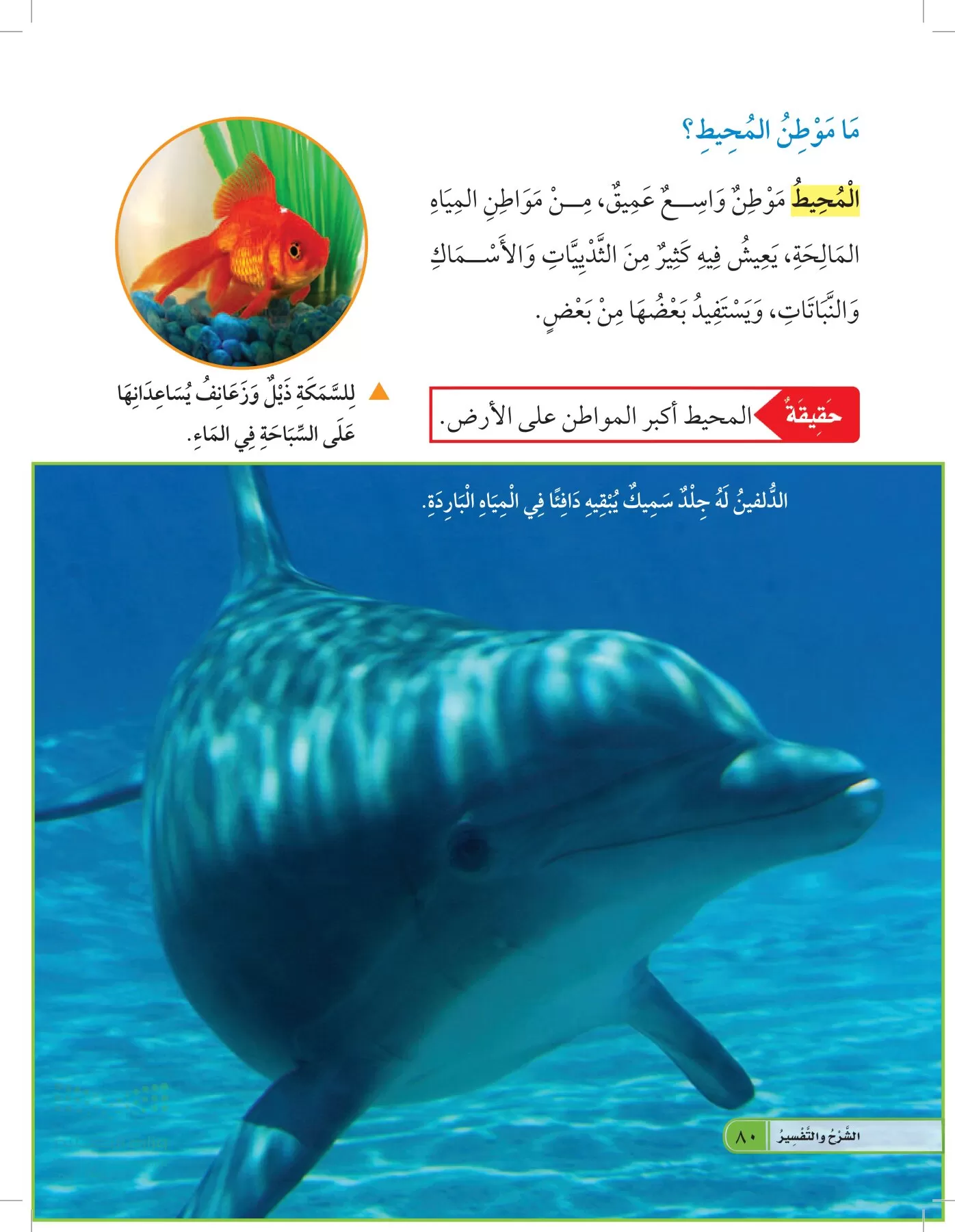 العلوم page-79